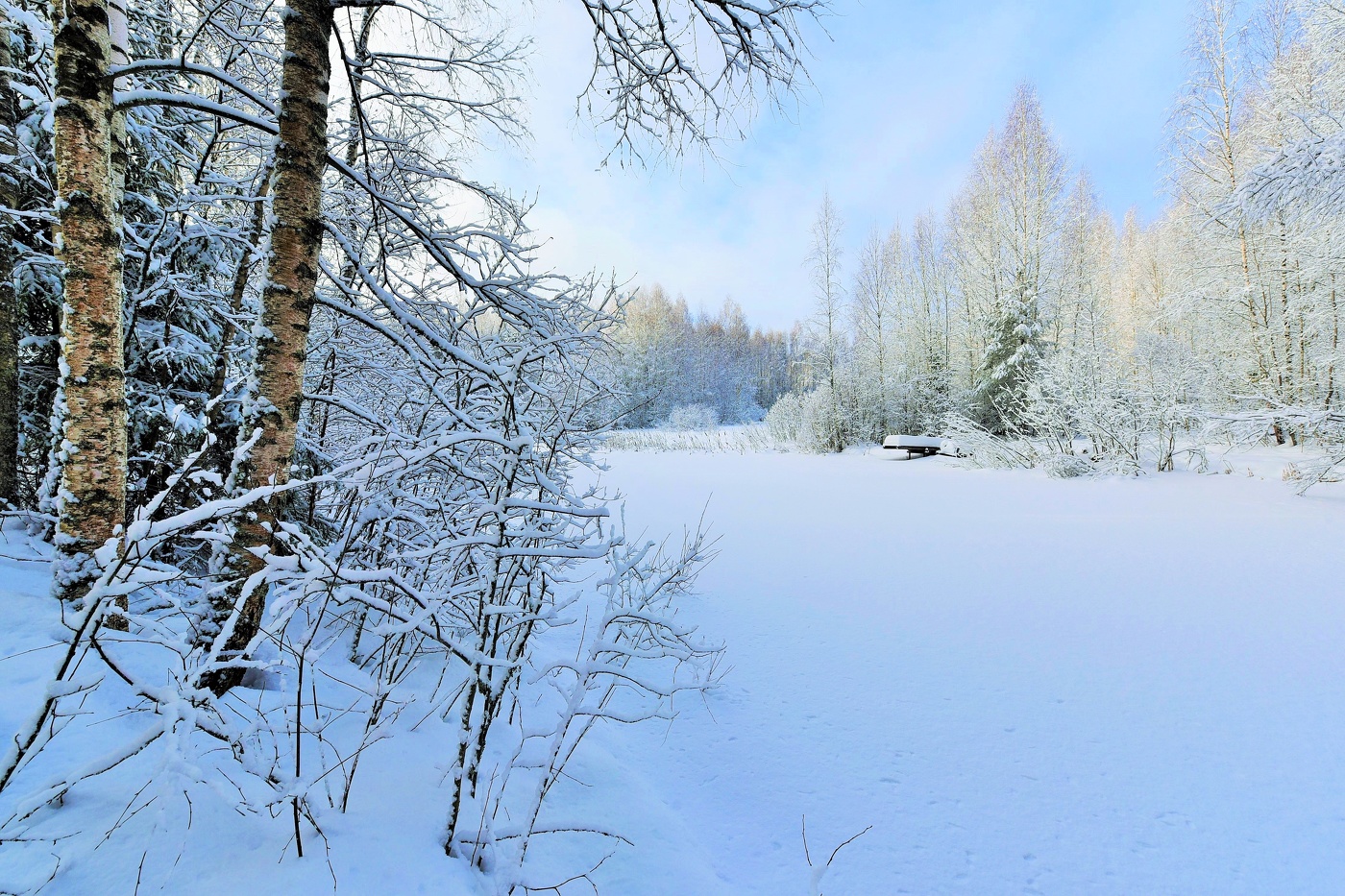Последний день уходящего года ...