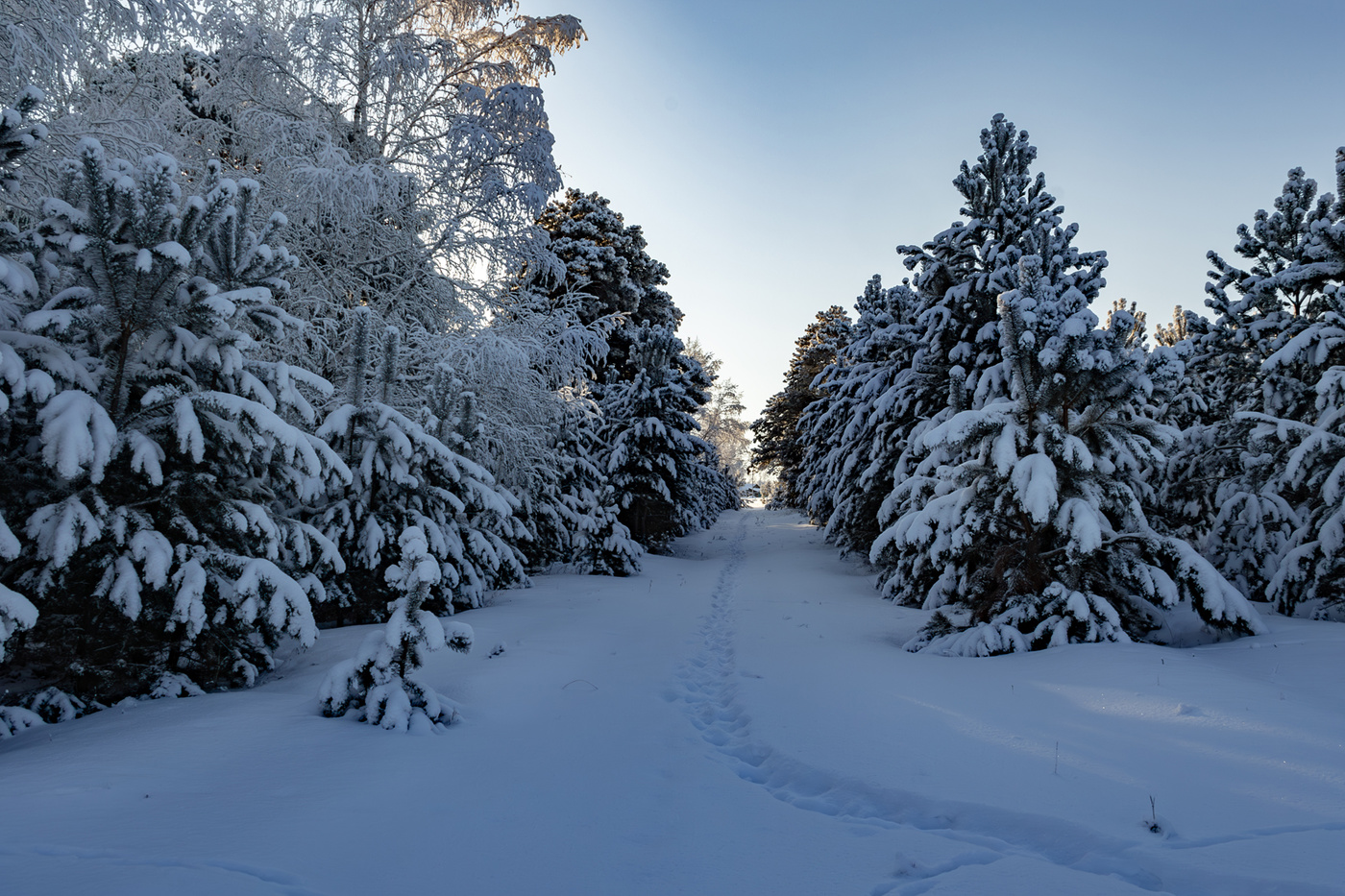 С Новым годом !