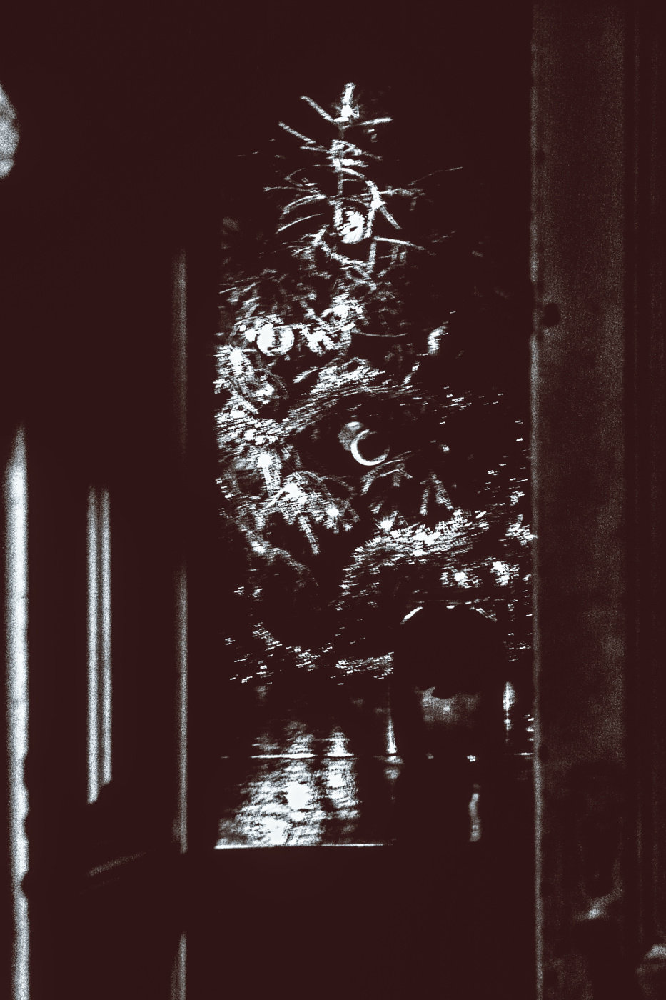 Жизнь вокруг