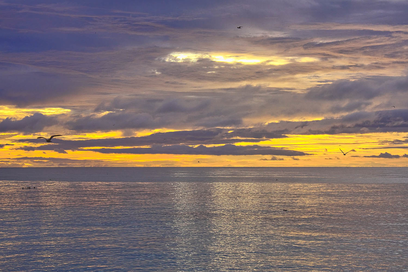 Вечер на острове Бёрд