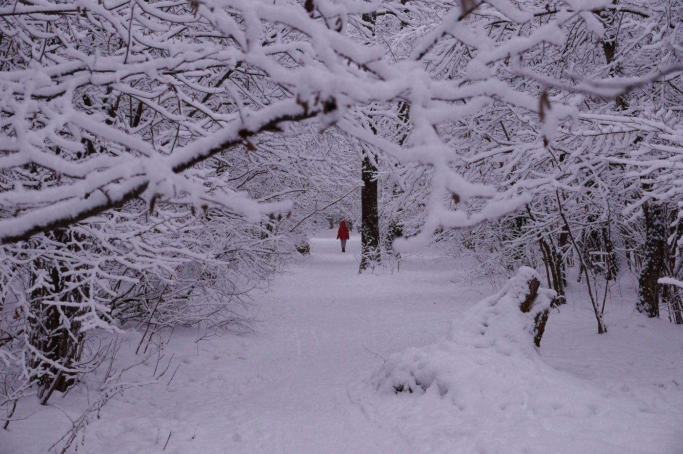 Зимняя сказка