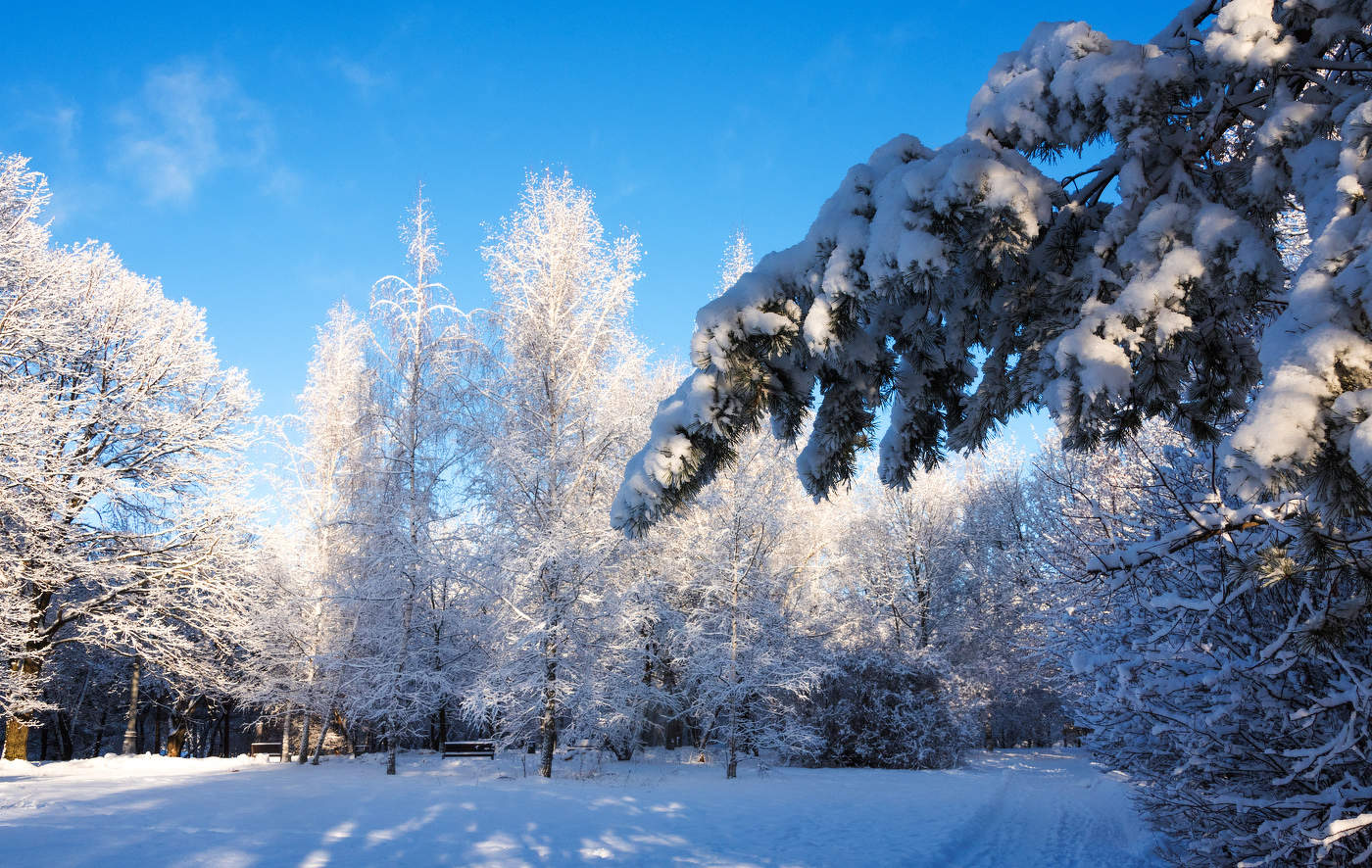 Зимняя сказка.