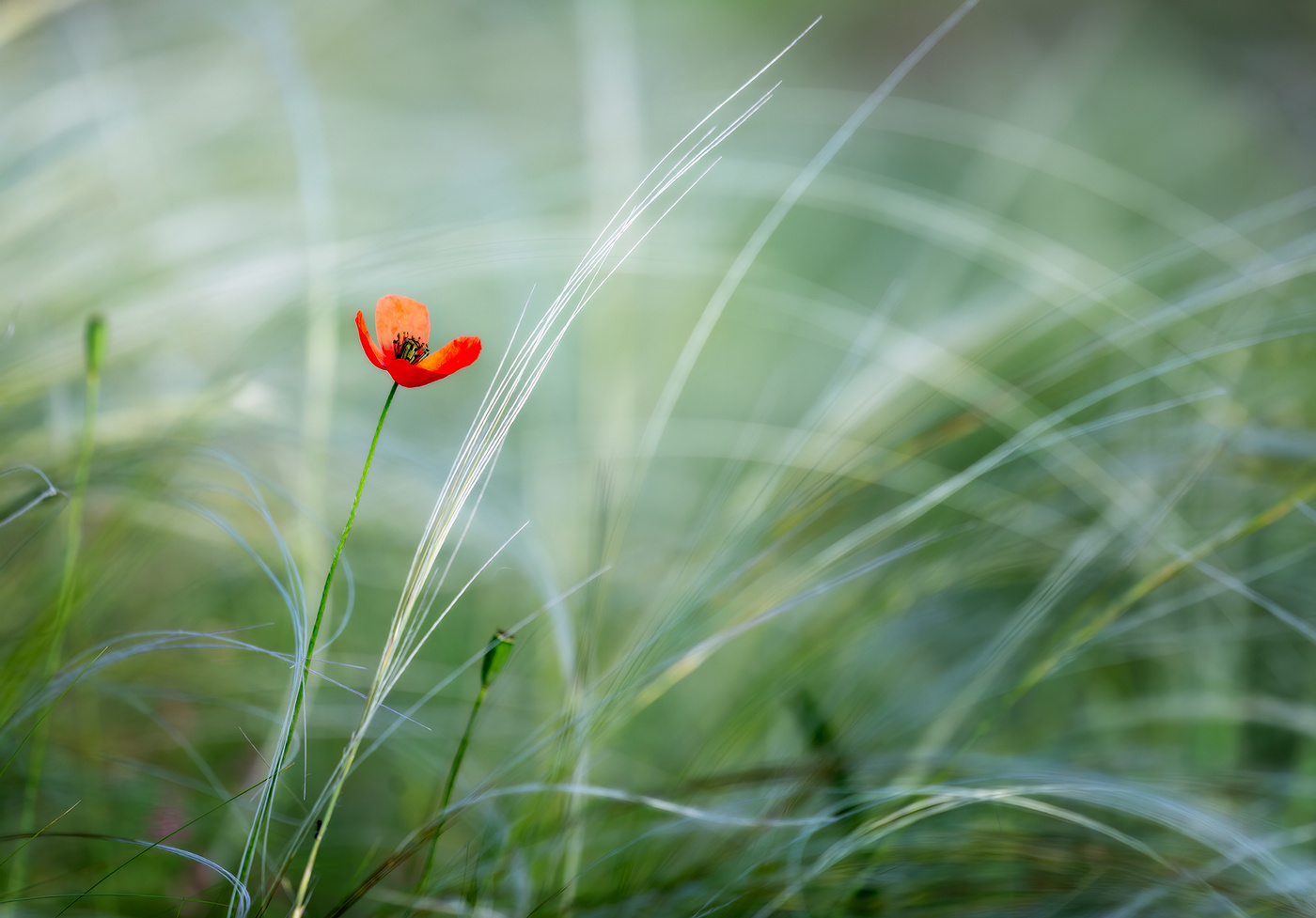 С Новым годом!