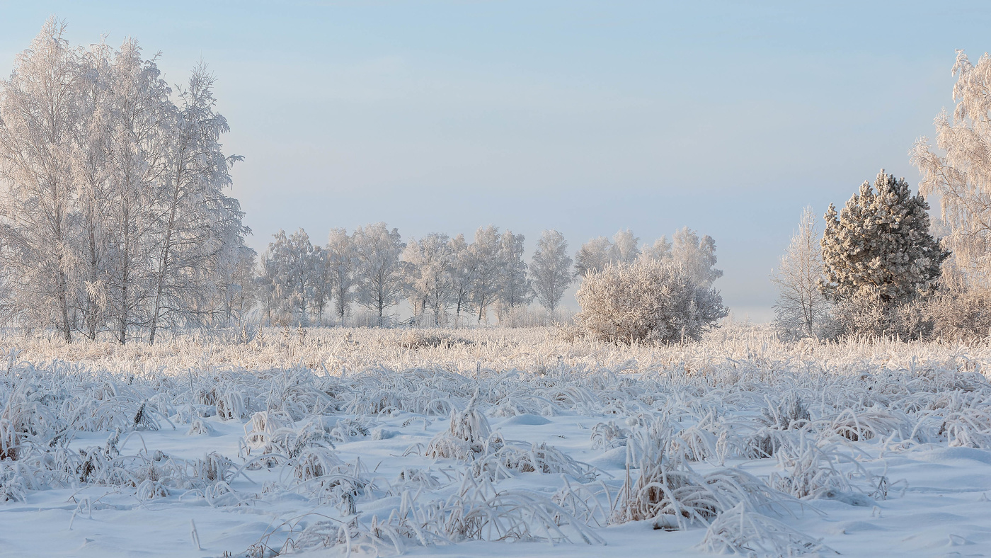 Красавица зима.