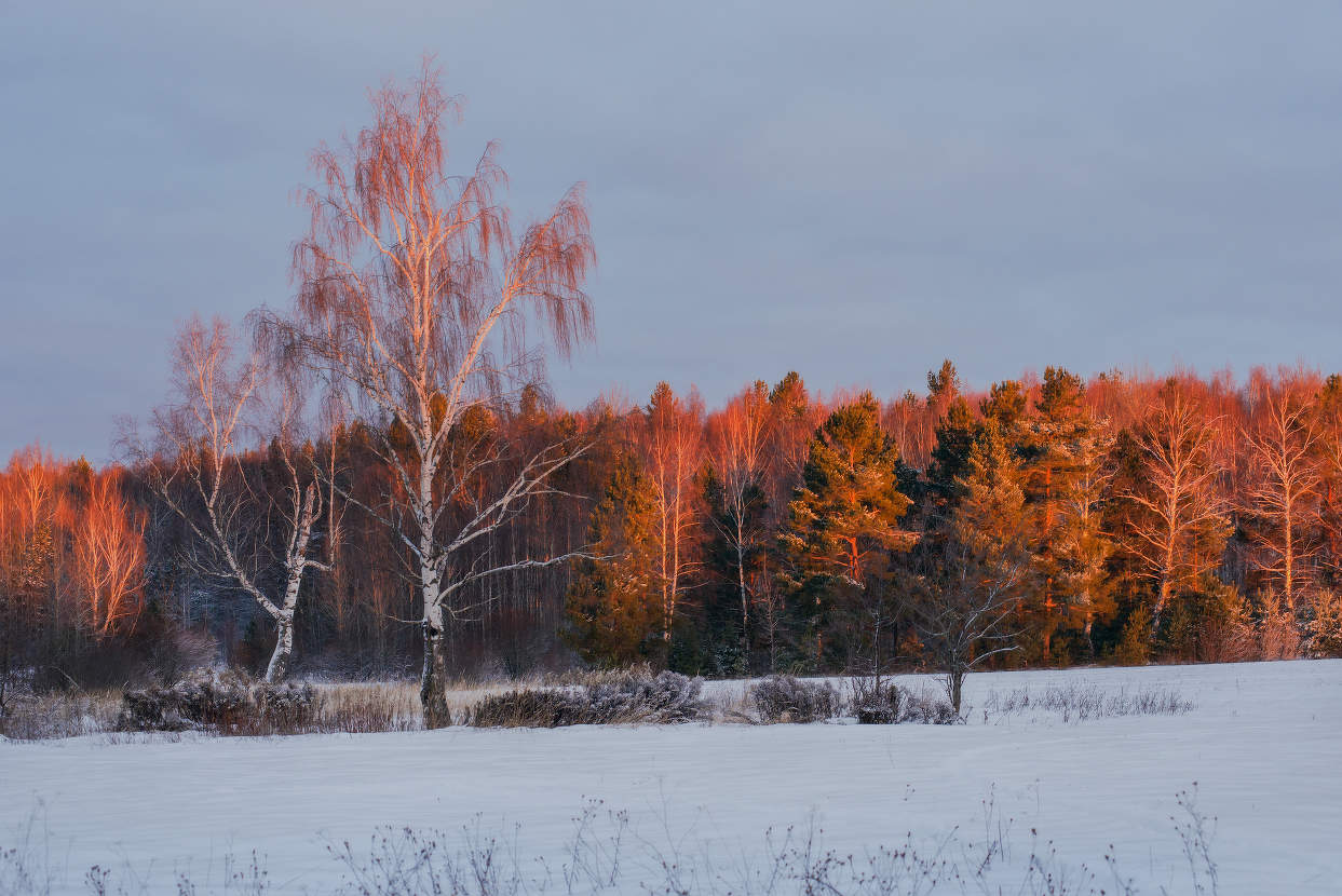 Первые лучи нового года