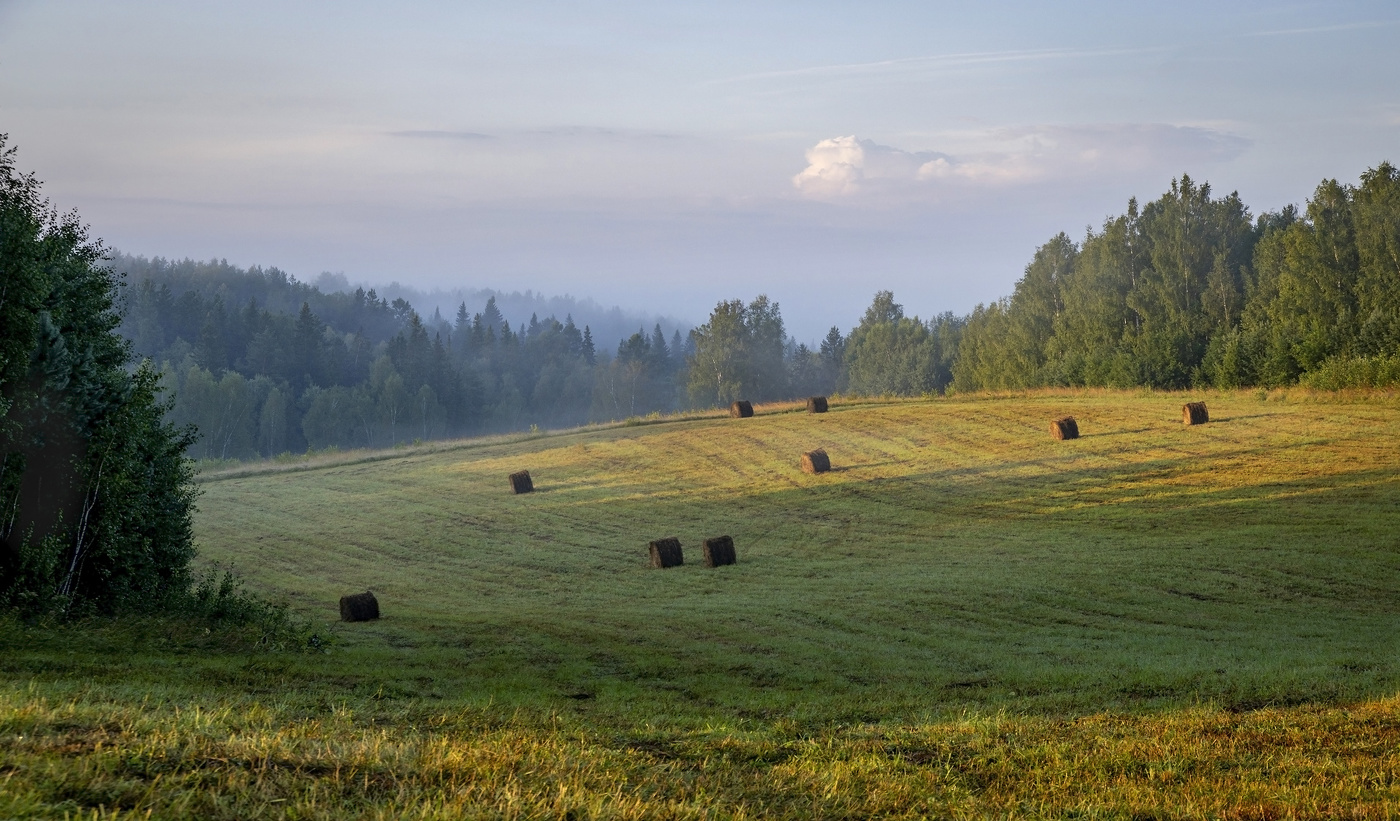 В августе...