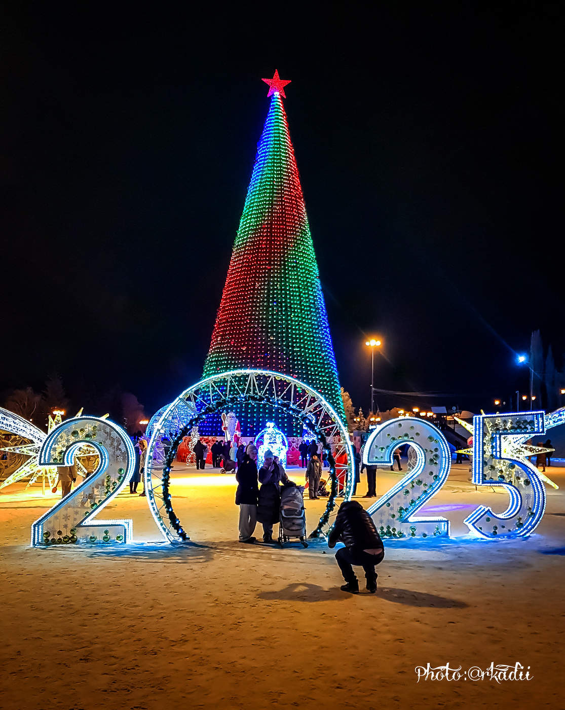 С НОВЫМ ГОДОМ, ДРУЗЬЯ !