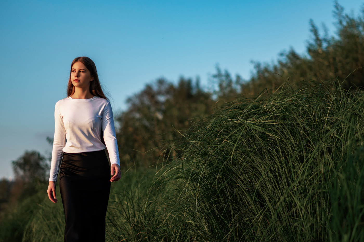 Вдоль берега реки Вологда