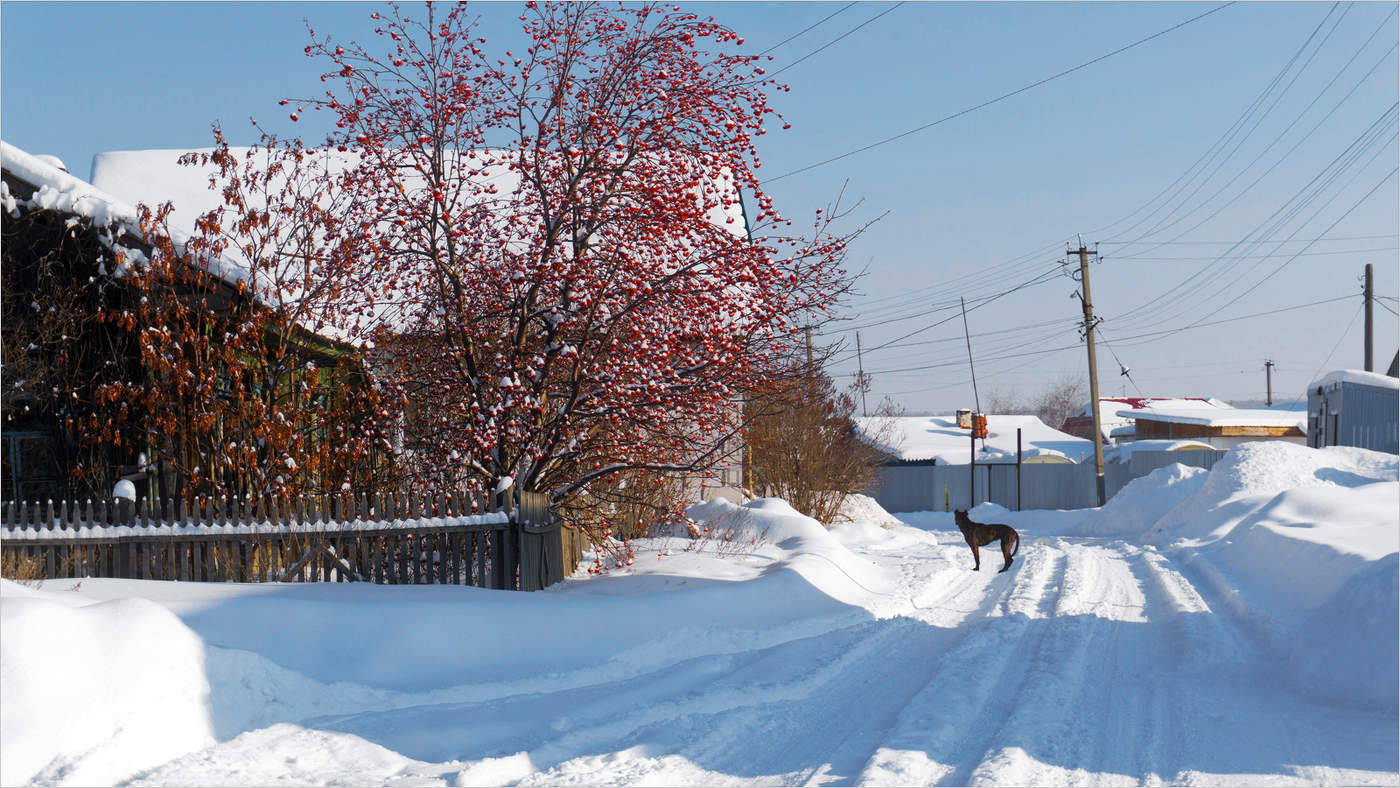 Хозяин улицы