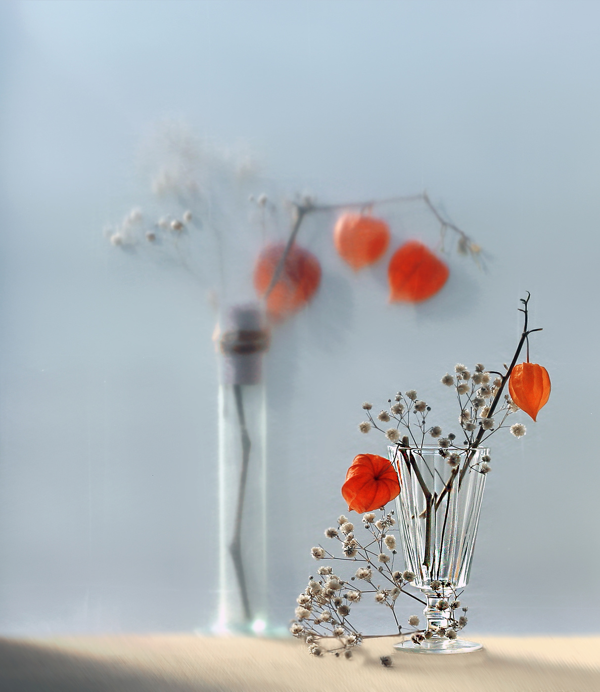 С физалисом