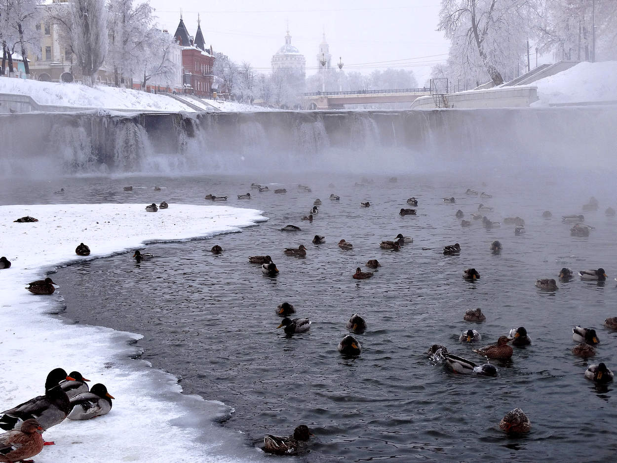 Январский туман