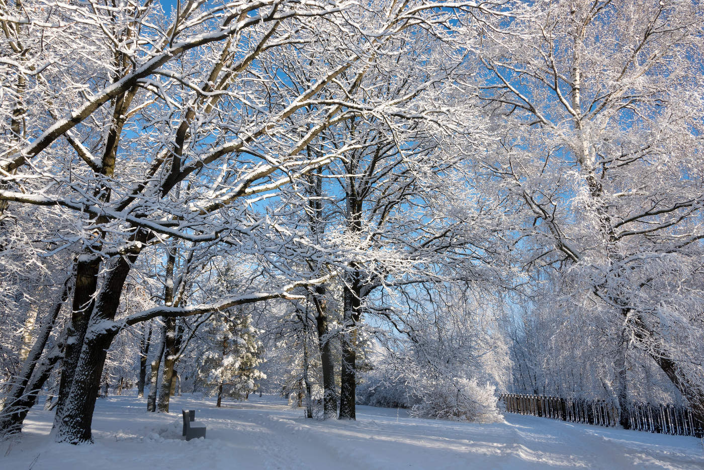 Новогодняя сказка.