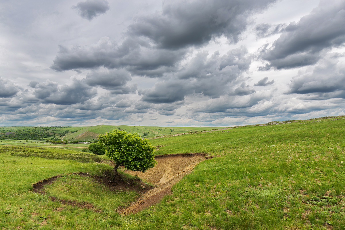 Степные картинки