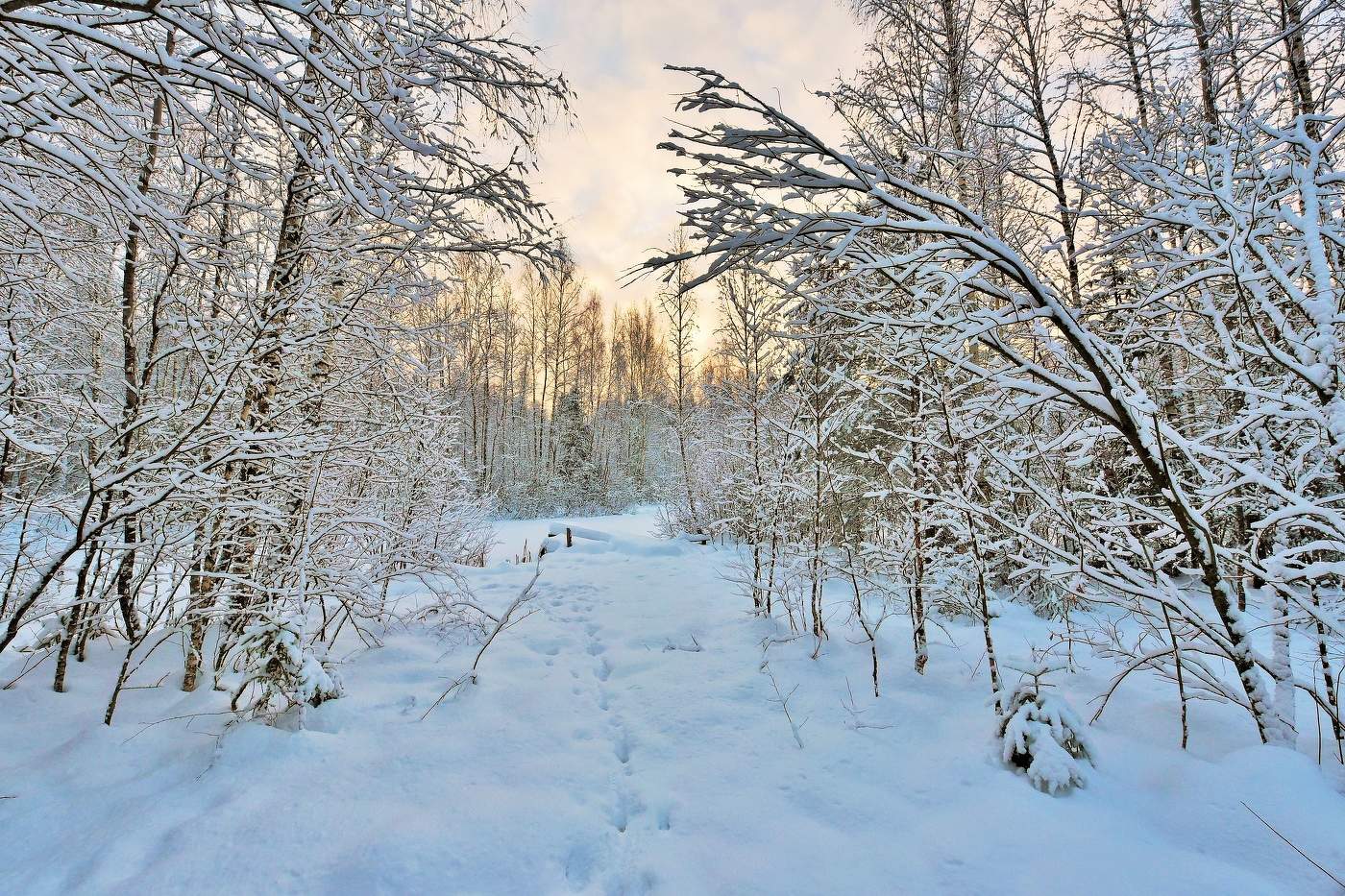 Морозный денек ...