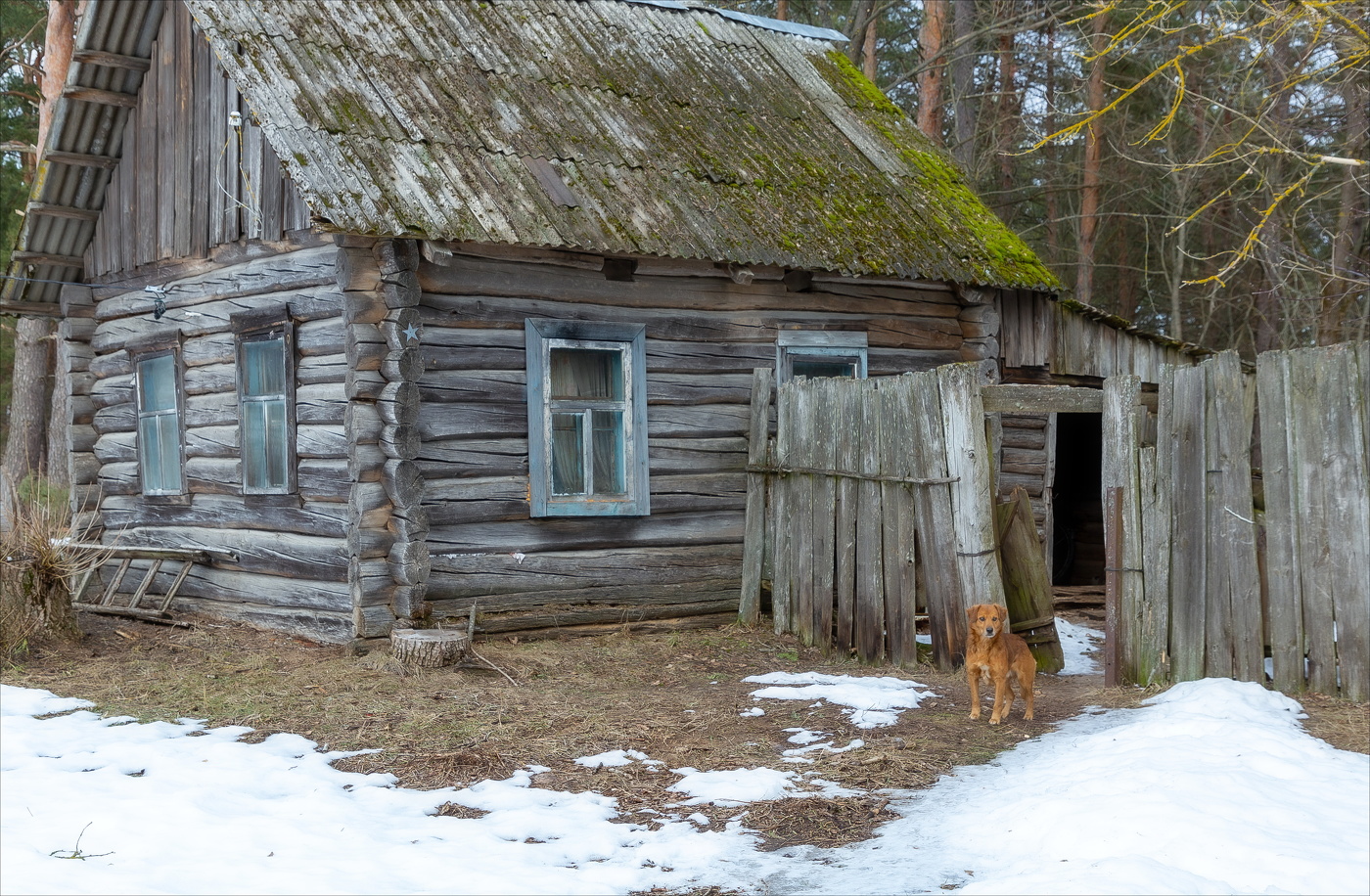 ХОЗЯИН НЕ ВЕРНЕТСЯ