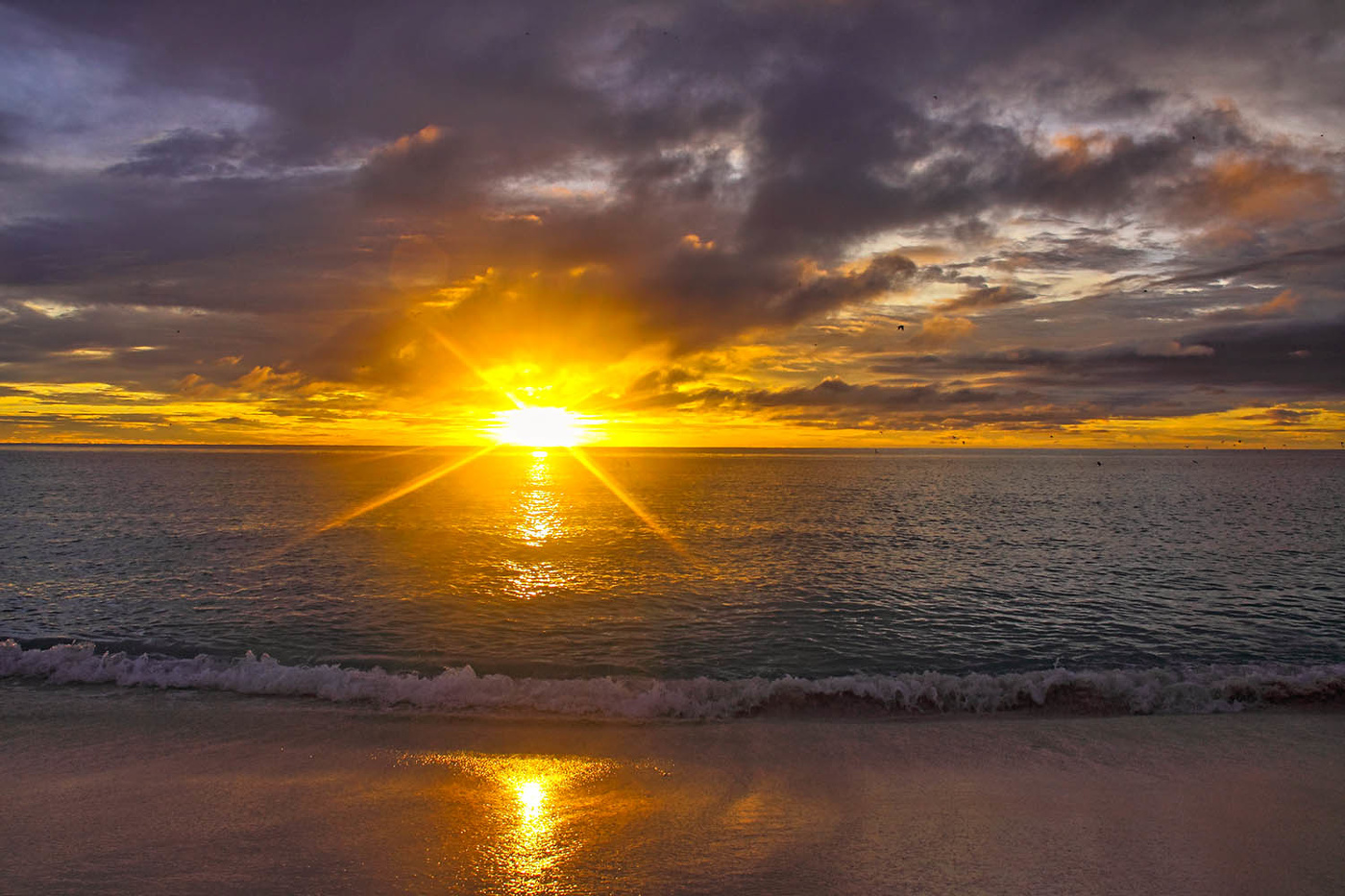 Вечер на острове Бёрд