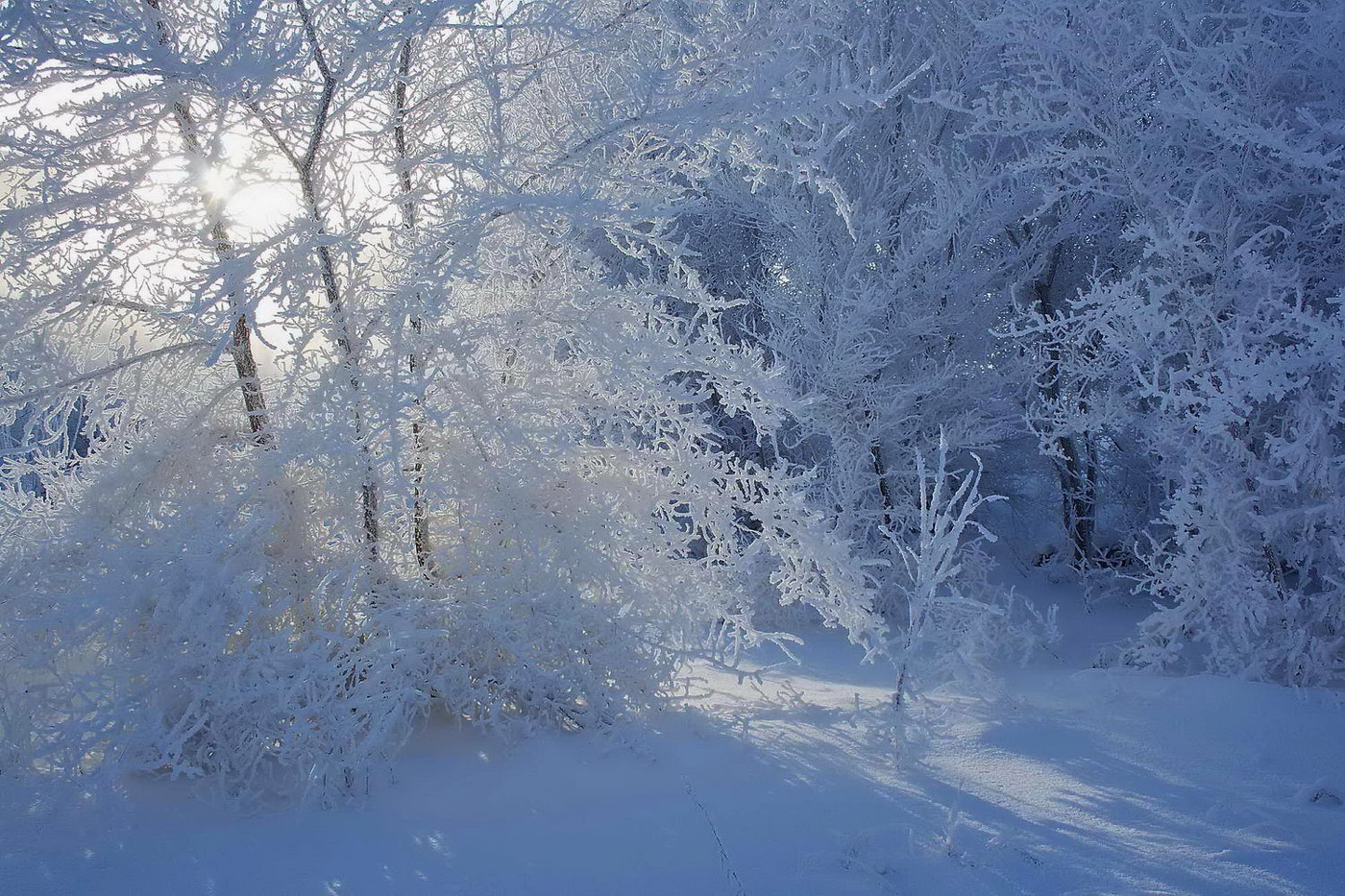 утро нового года