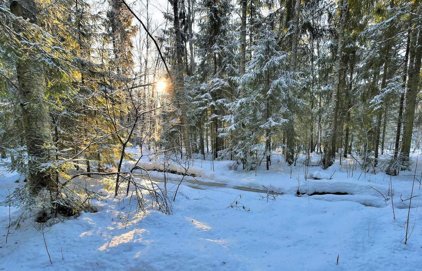 Мороз и солнце ...