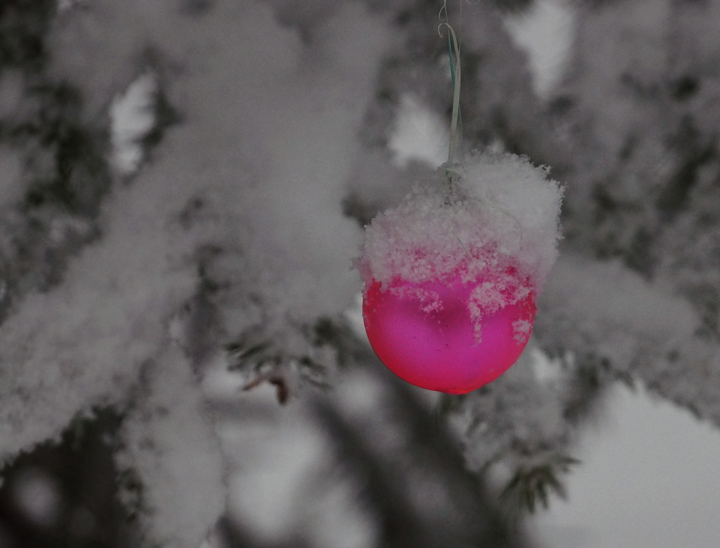 Новогоднее