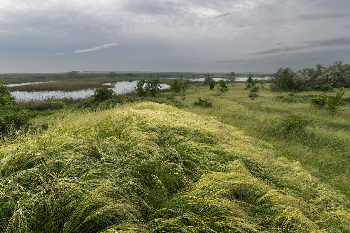 Утро в пойме