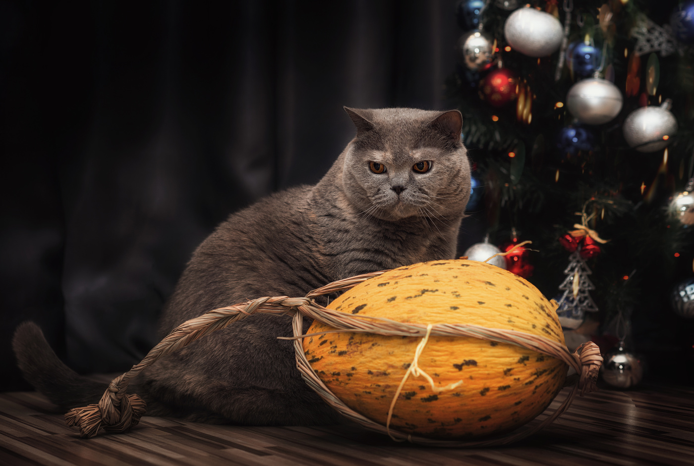 Когда с подарком не угадали)