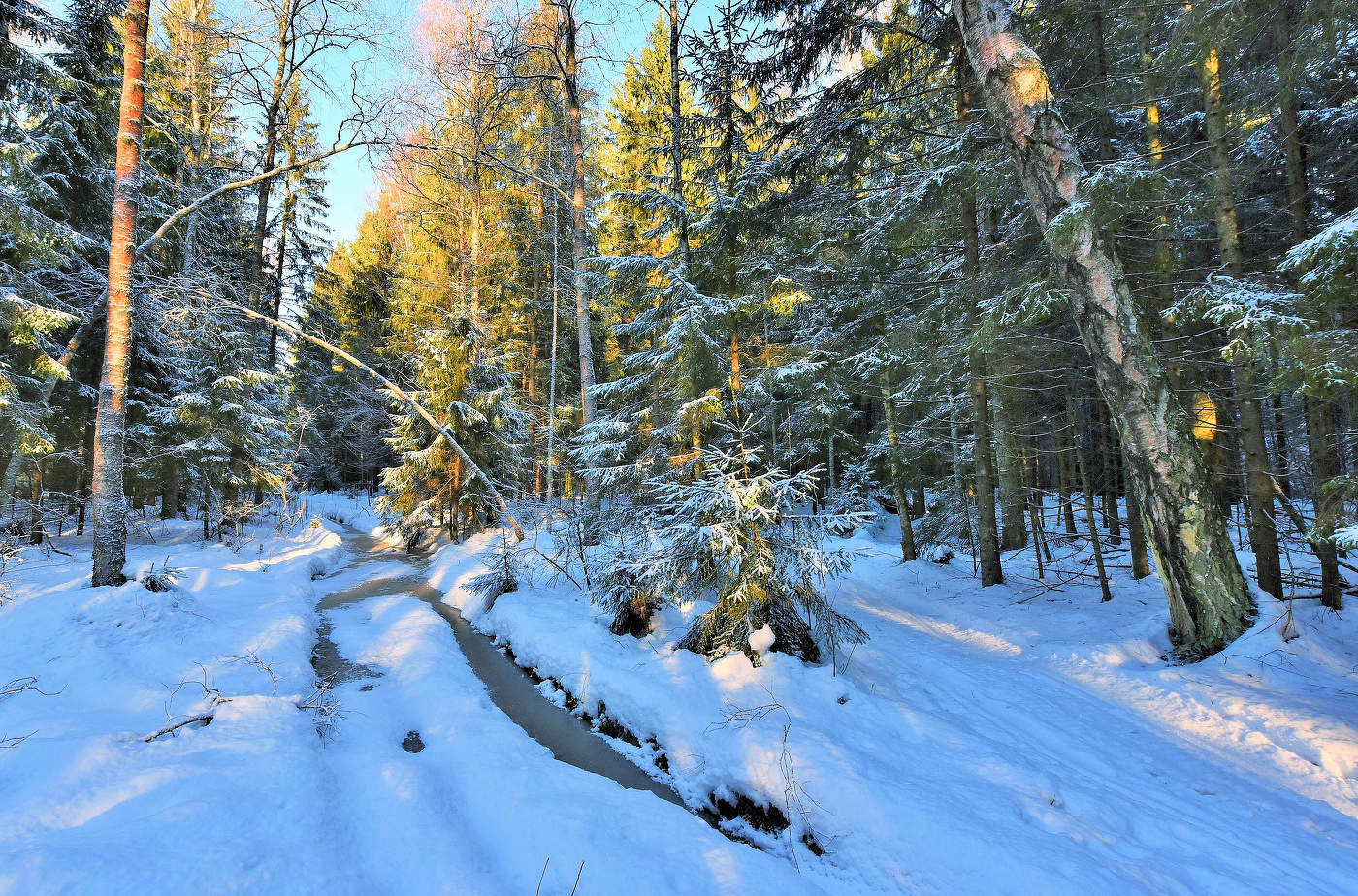 По дороге зимней, но не скучной ...
