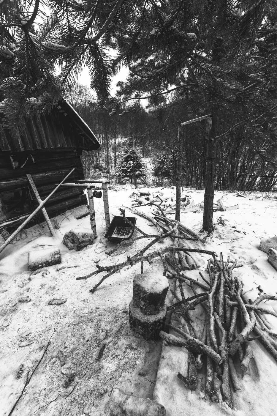 Жизнь вокруг