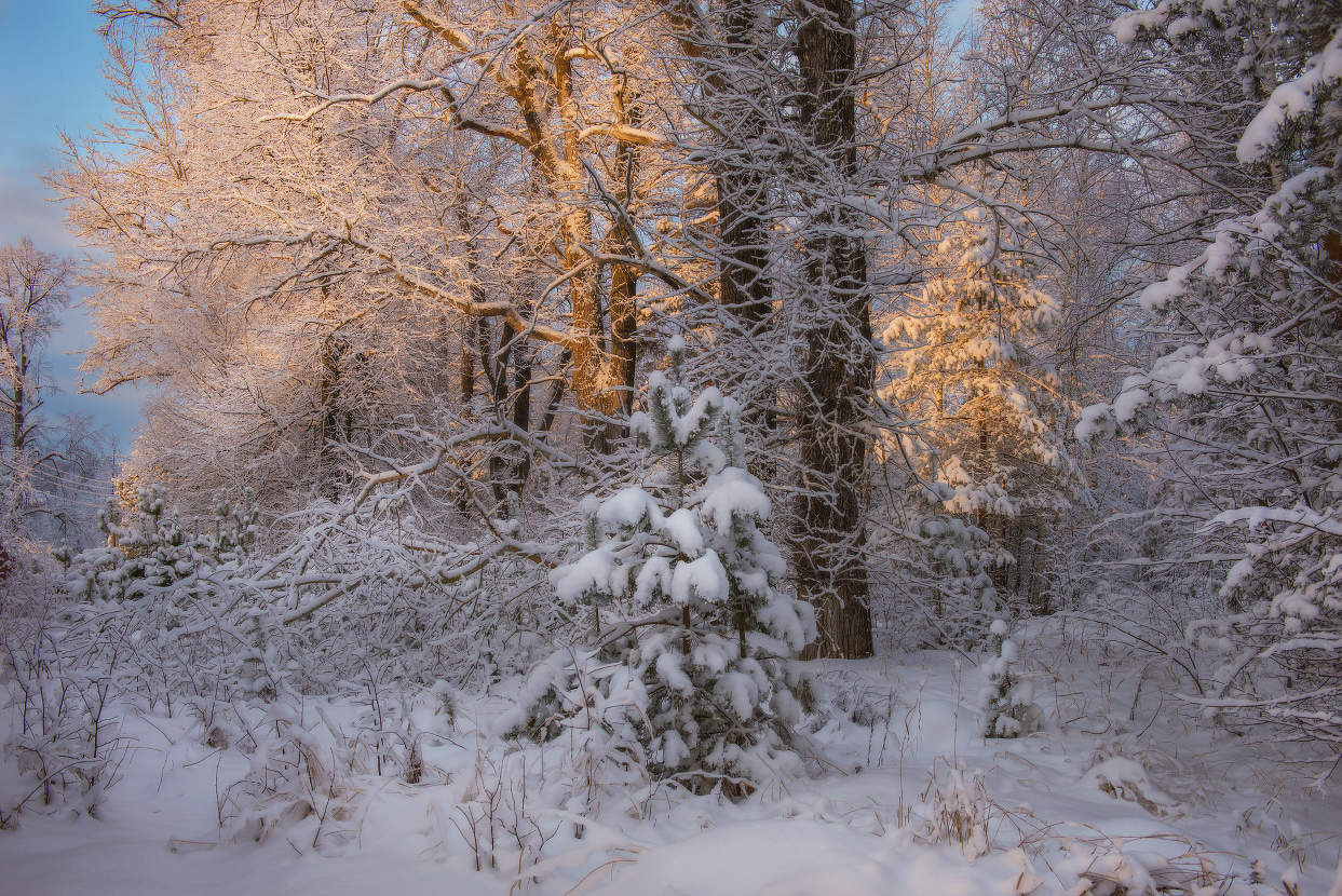 Утренняя сказка