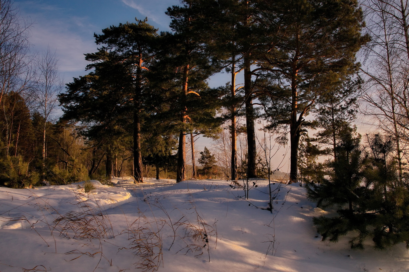 Зимним вечером.