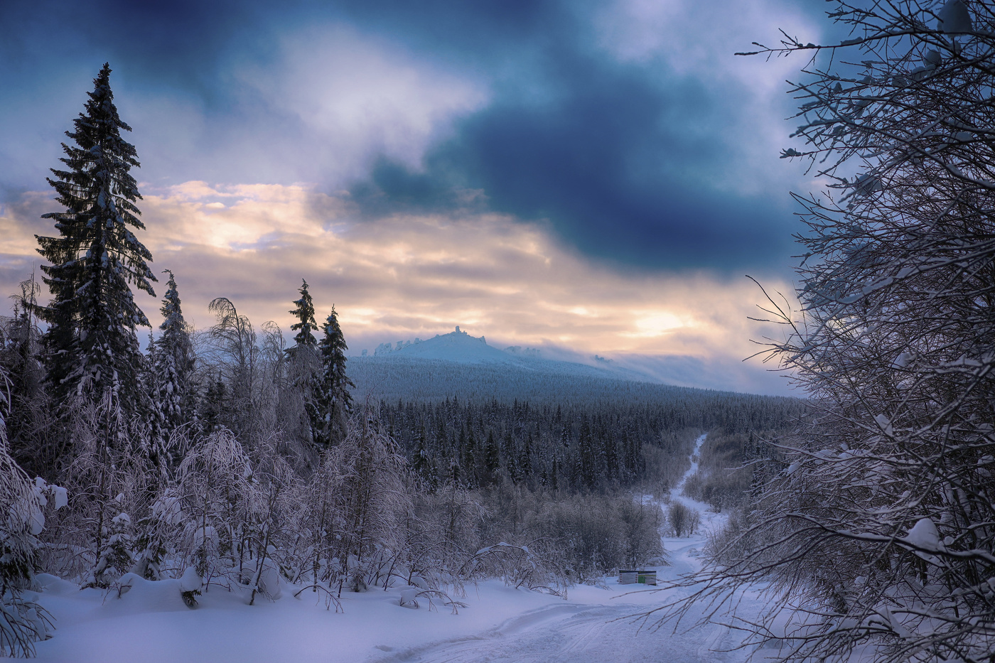 В начале тропы
