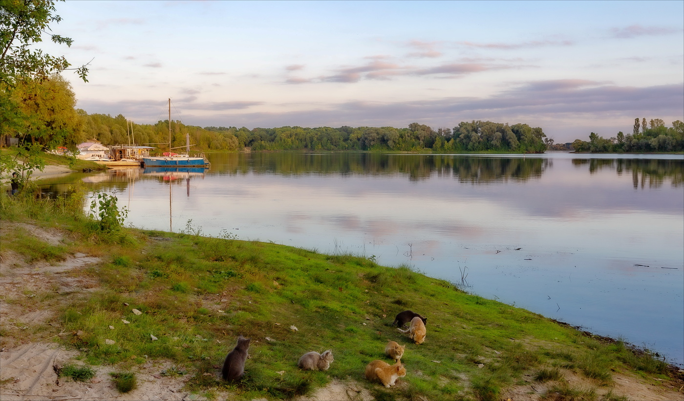 СПУСКАЛСЯ ВЕЧЕР