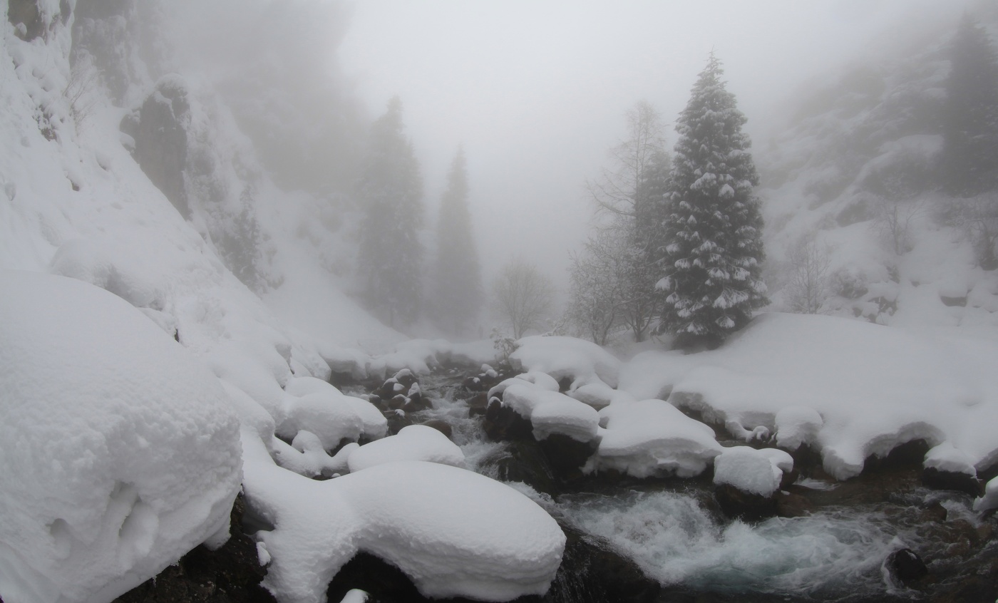 С Рождеством !