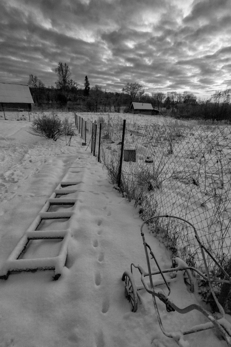 Жизнь вокруг