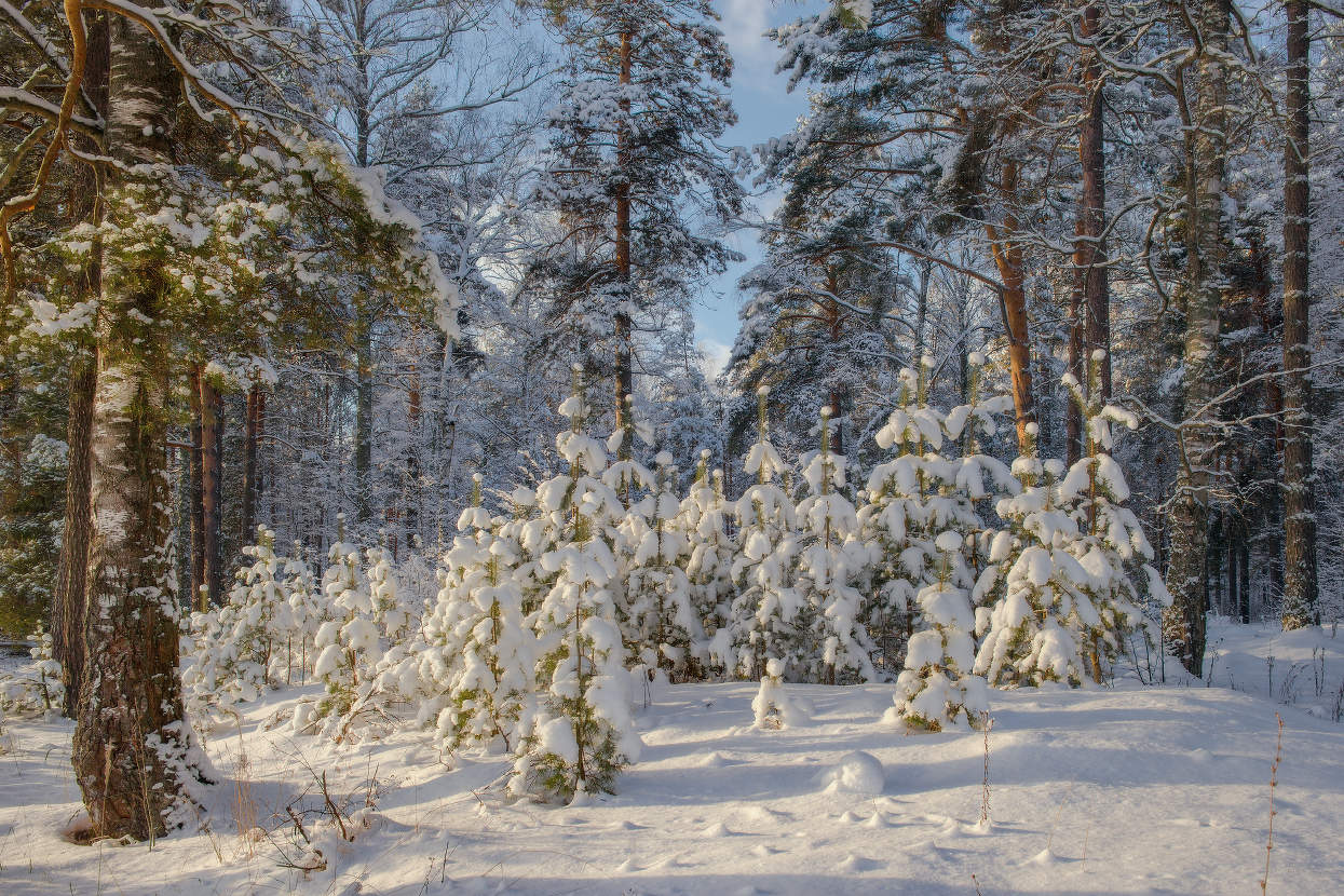 В солнечный день