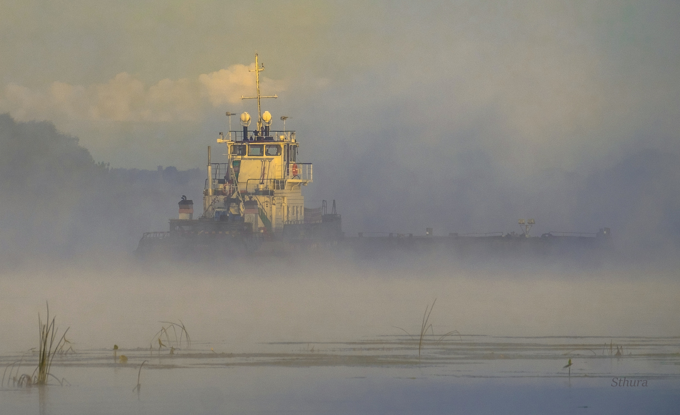 Идёт сквозь туман.