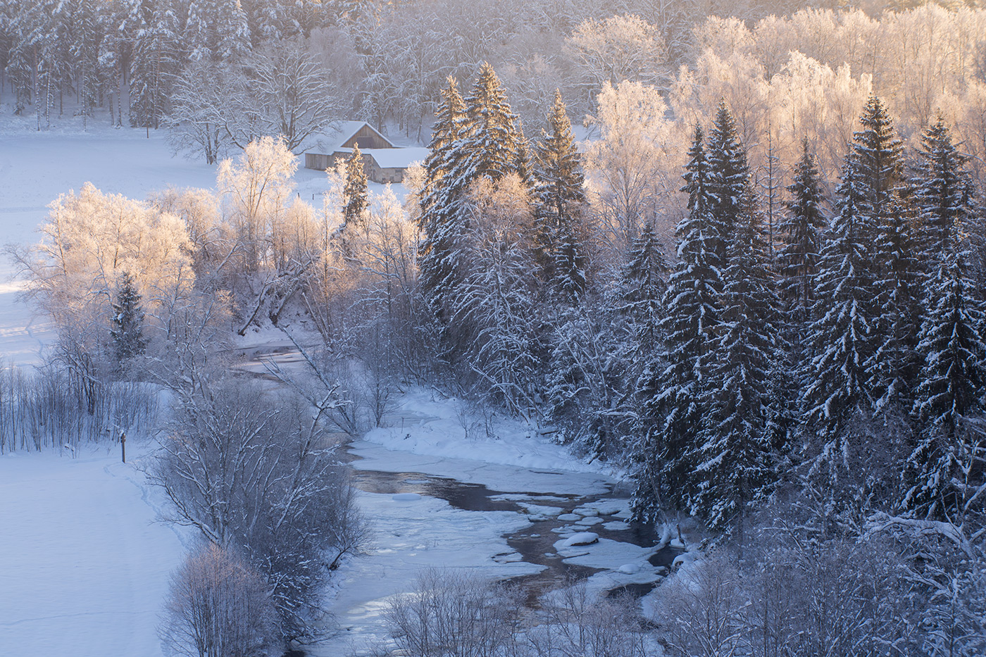 С Новым годом!