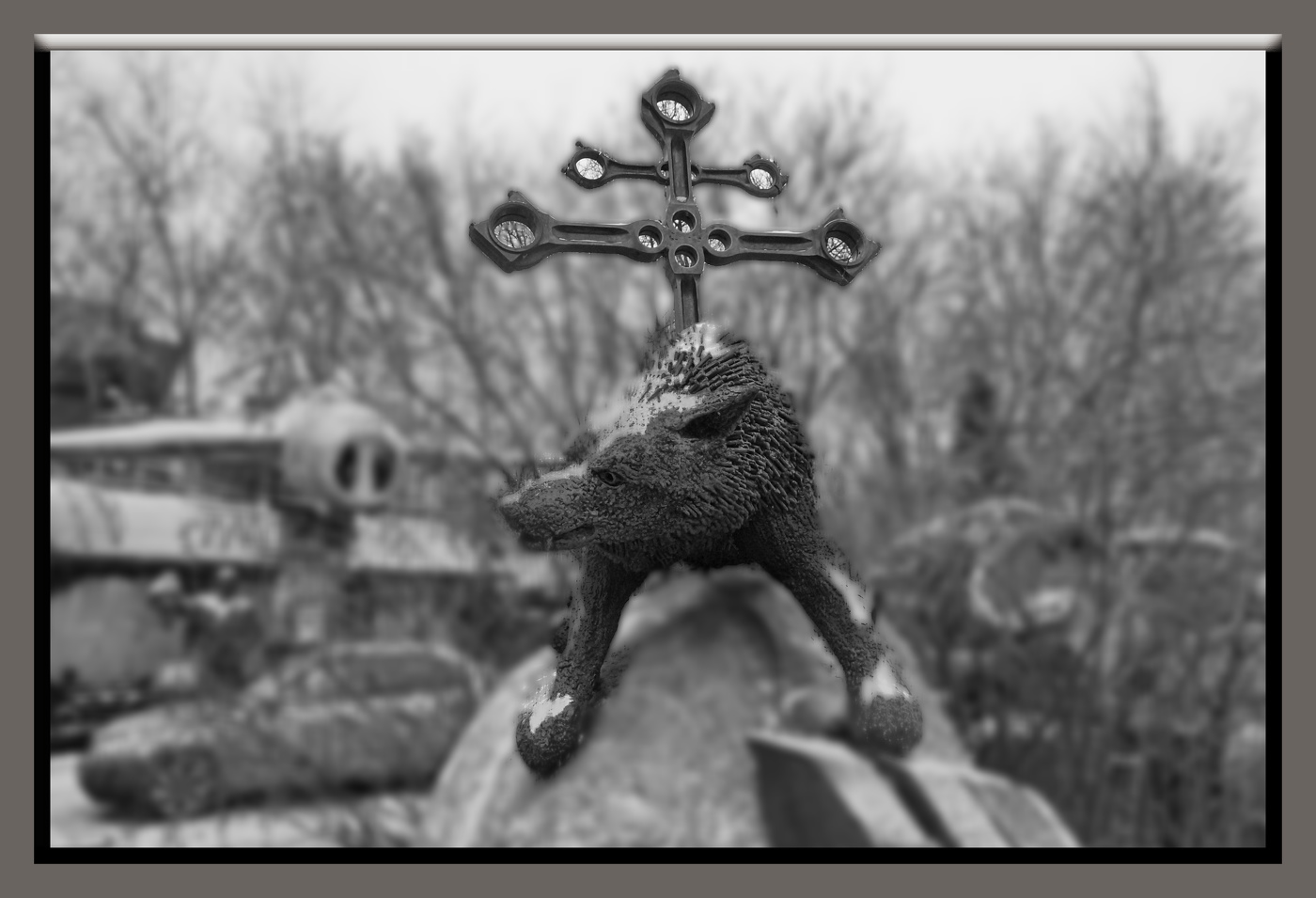 Ночные волки