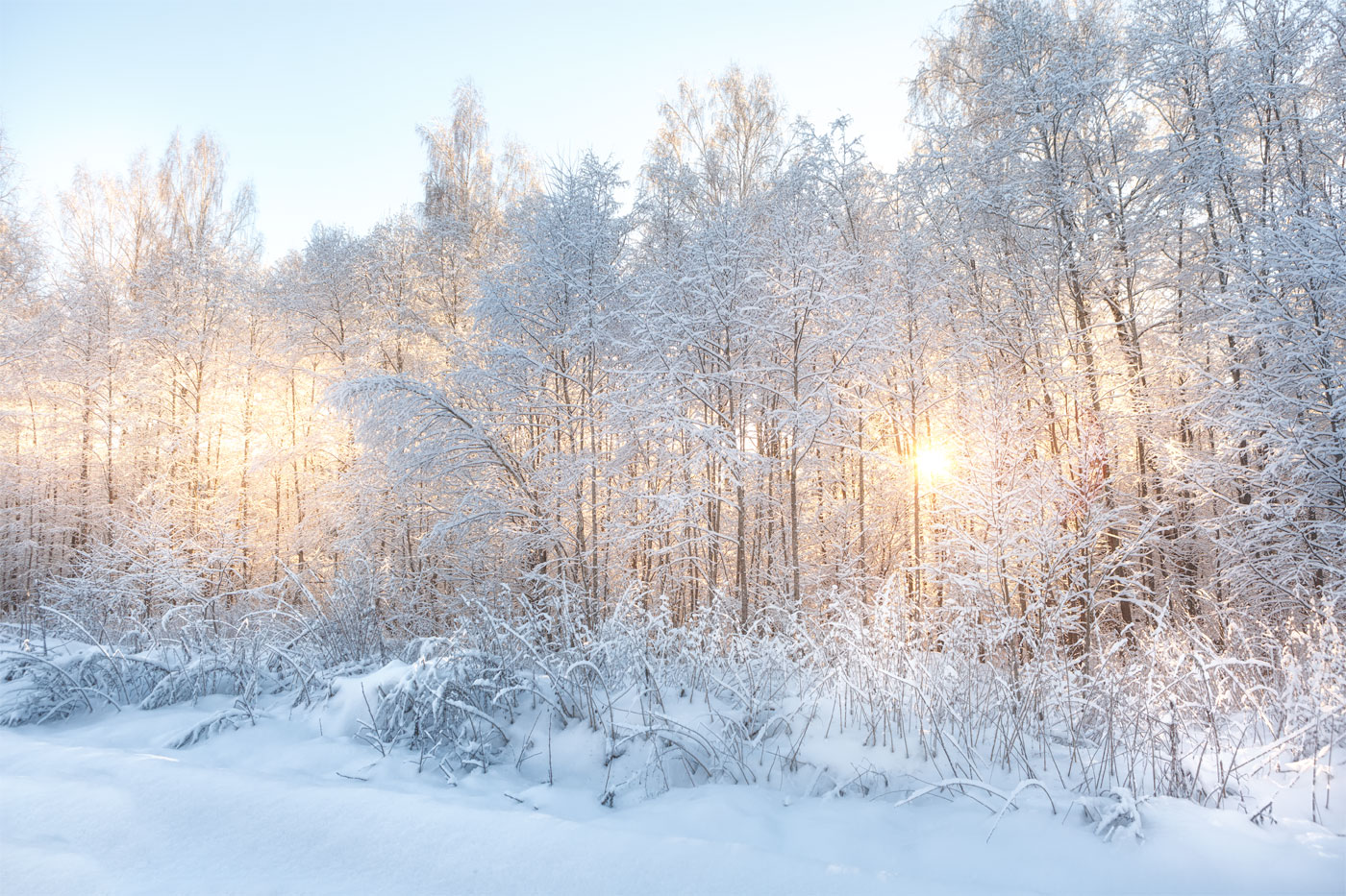 3-й день Нового года