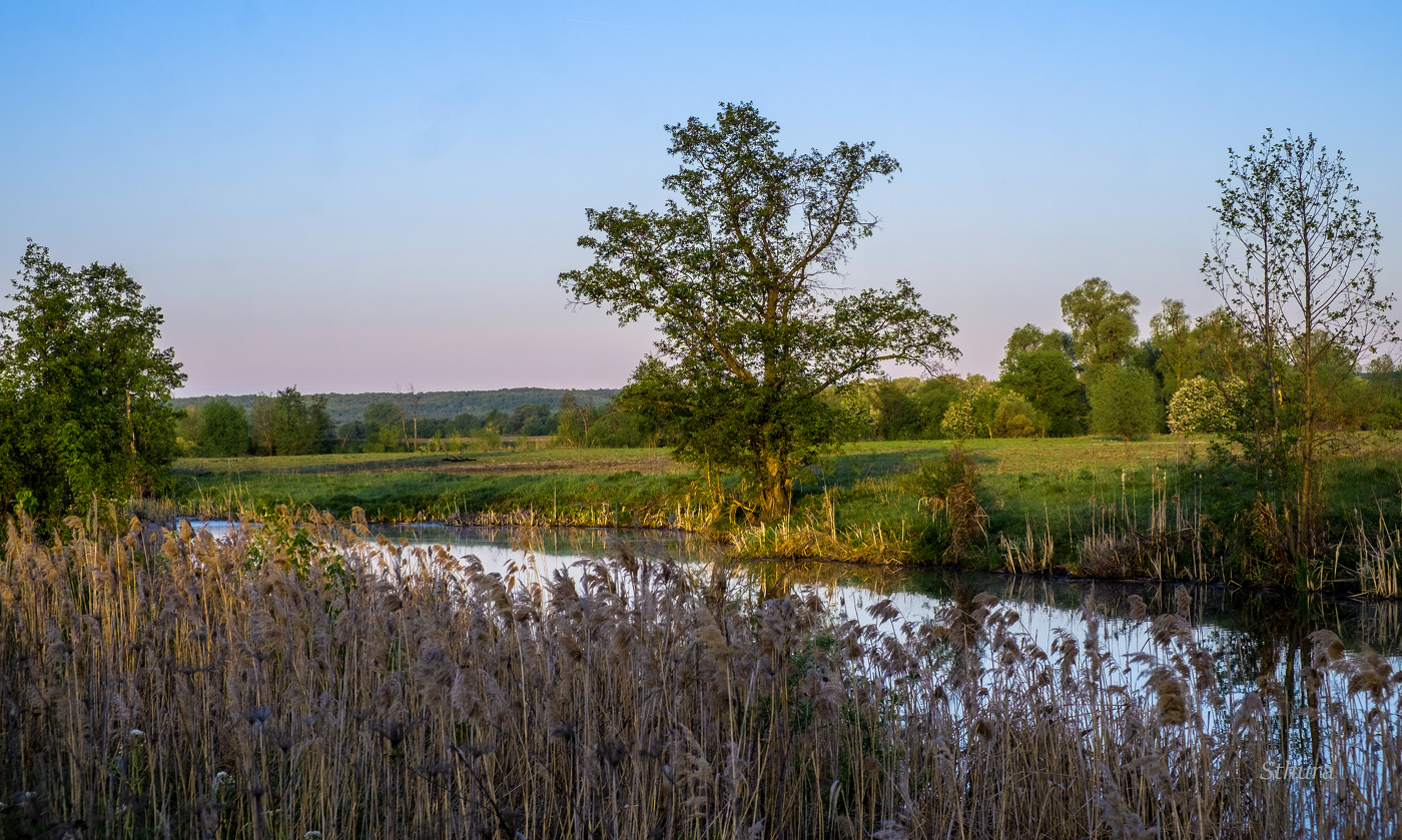 Утро весеннее.
