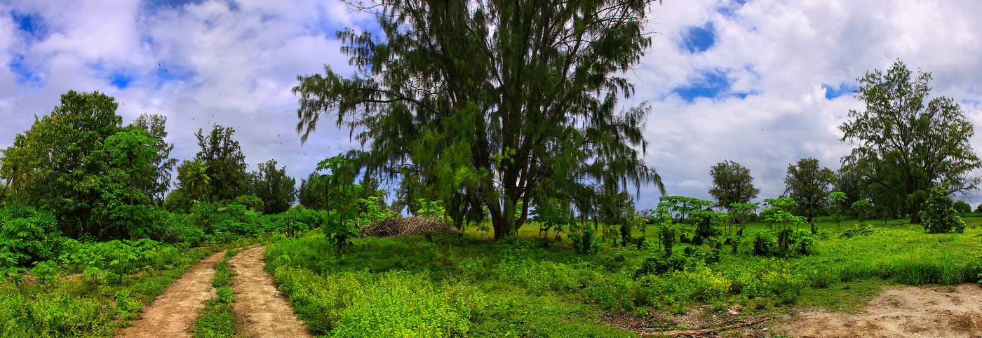 На острове Бёрд