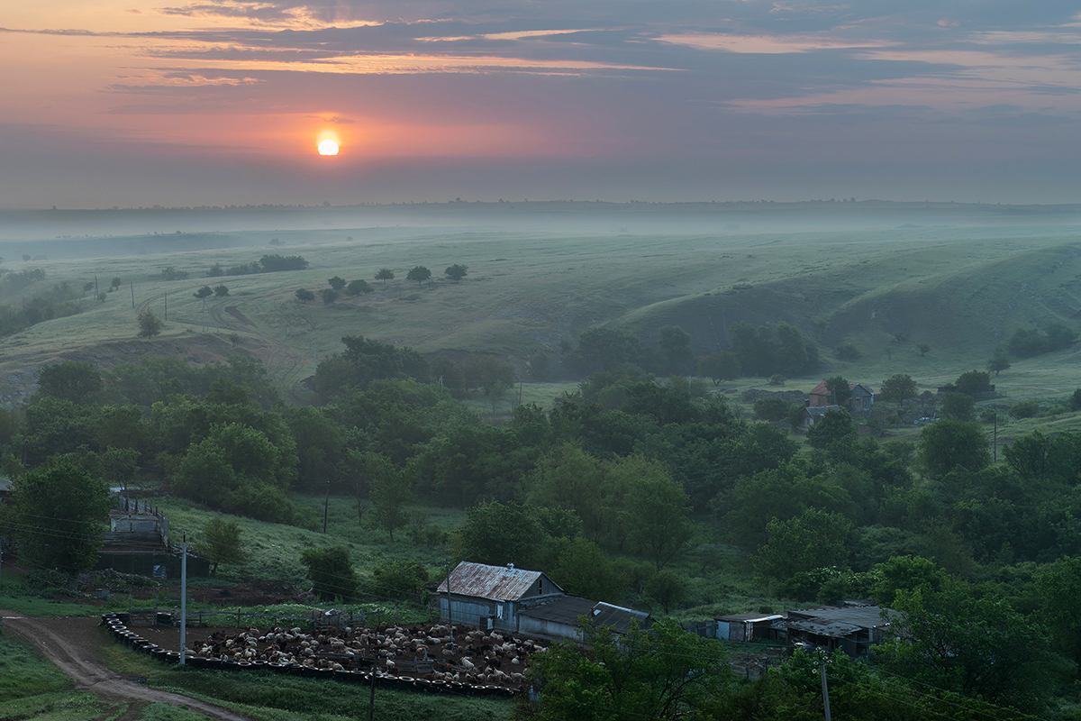 Туман по степи