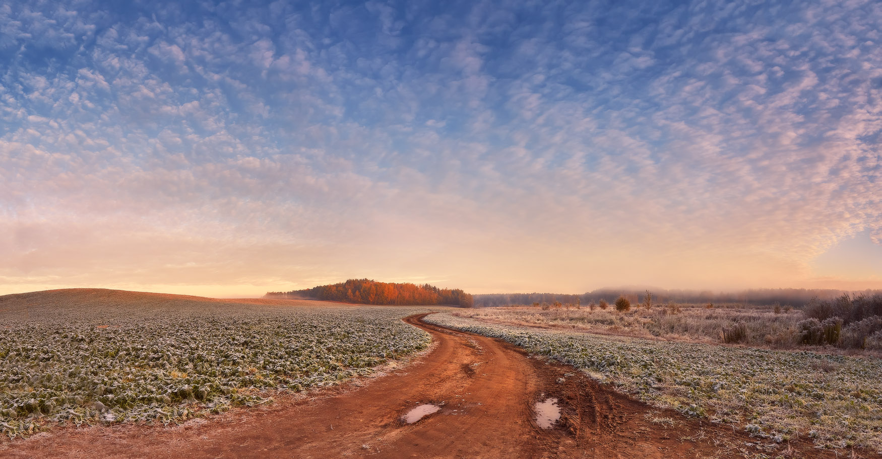 Морозное утро