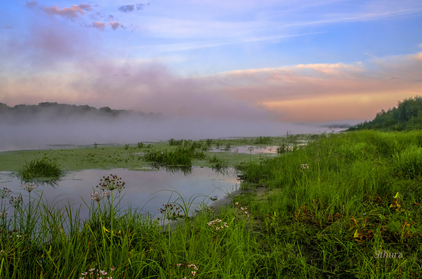 Левый берег Оки.