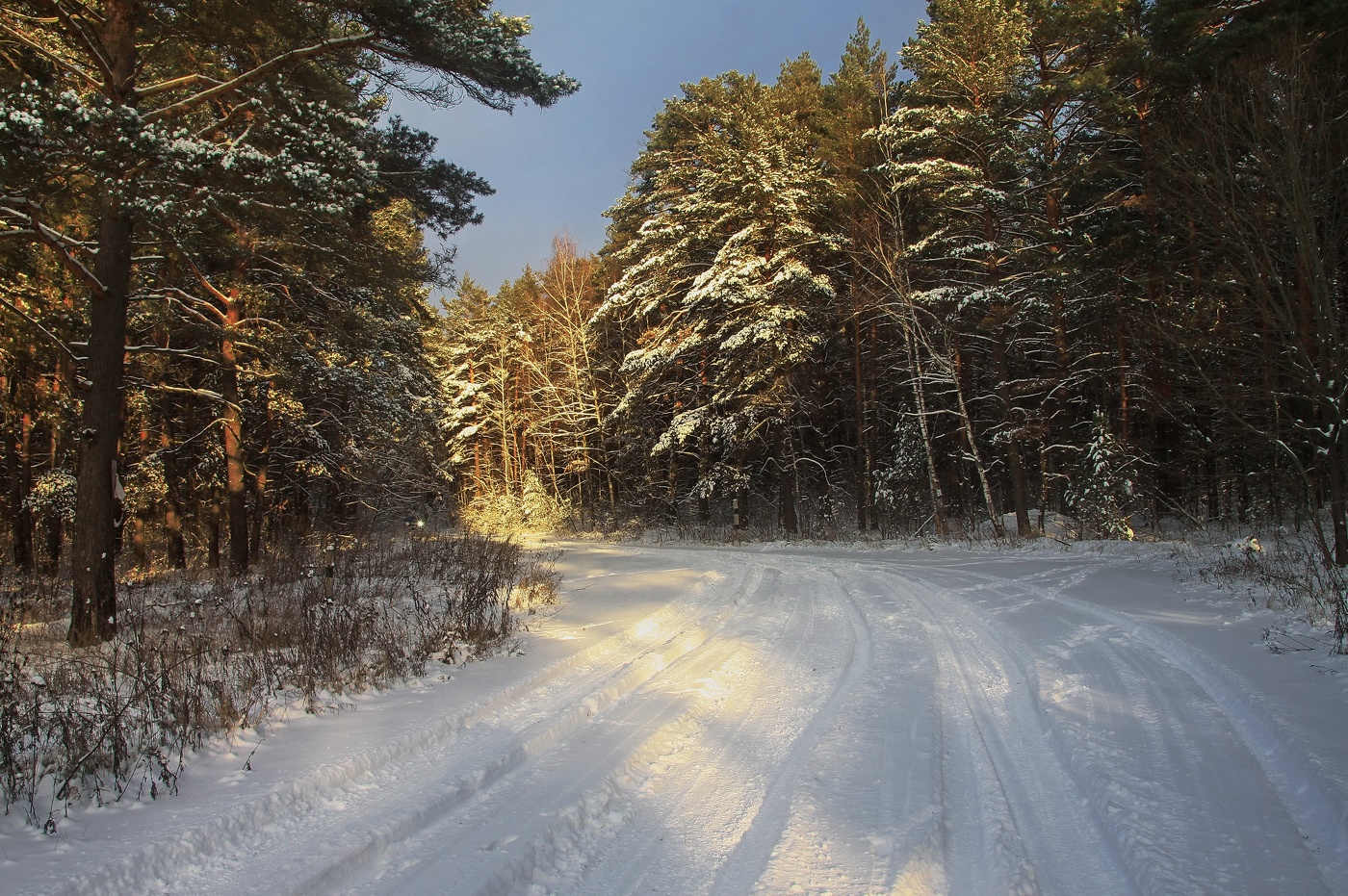 Подмосковный маршрут