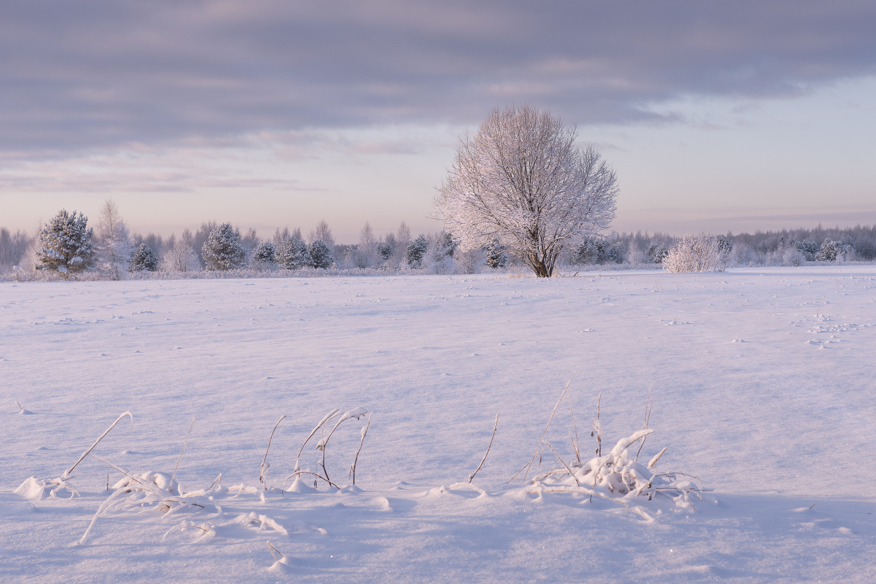 Тихое утро после снегопада.