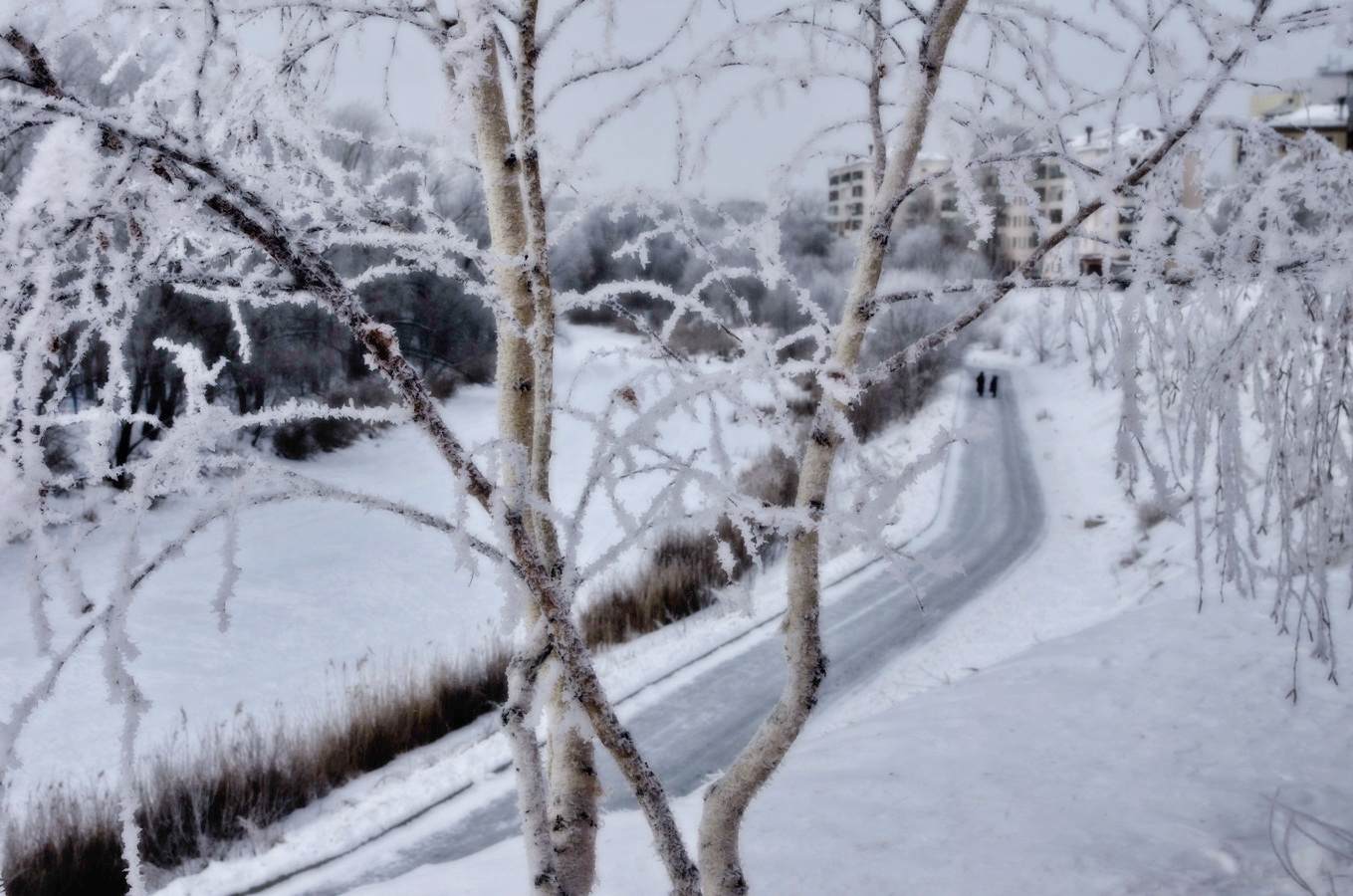 после оттепели