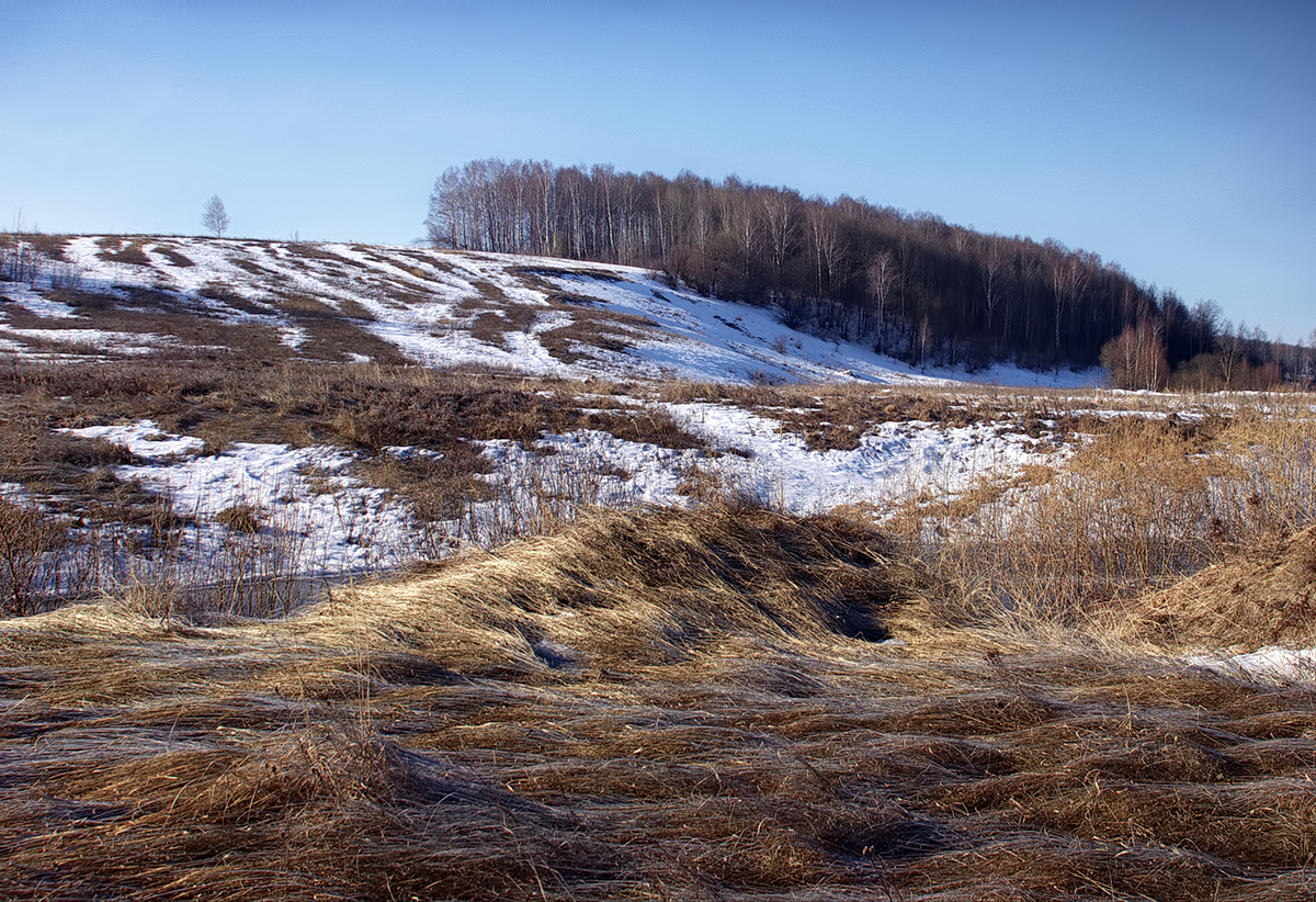 Шелковая трава.