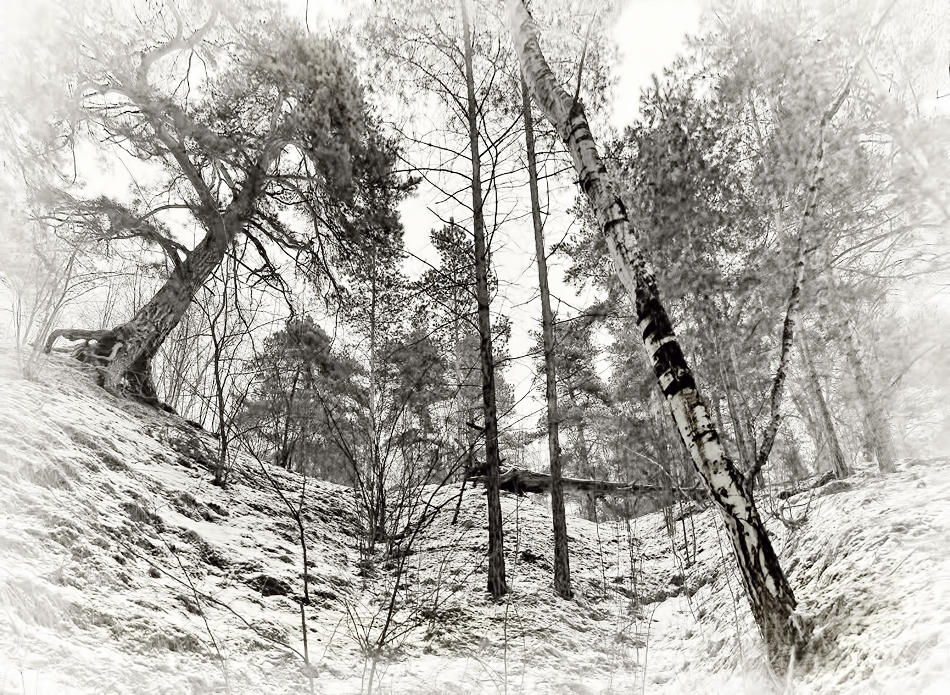 Весеннее головокружение.