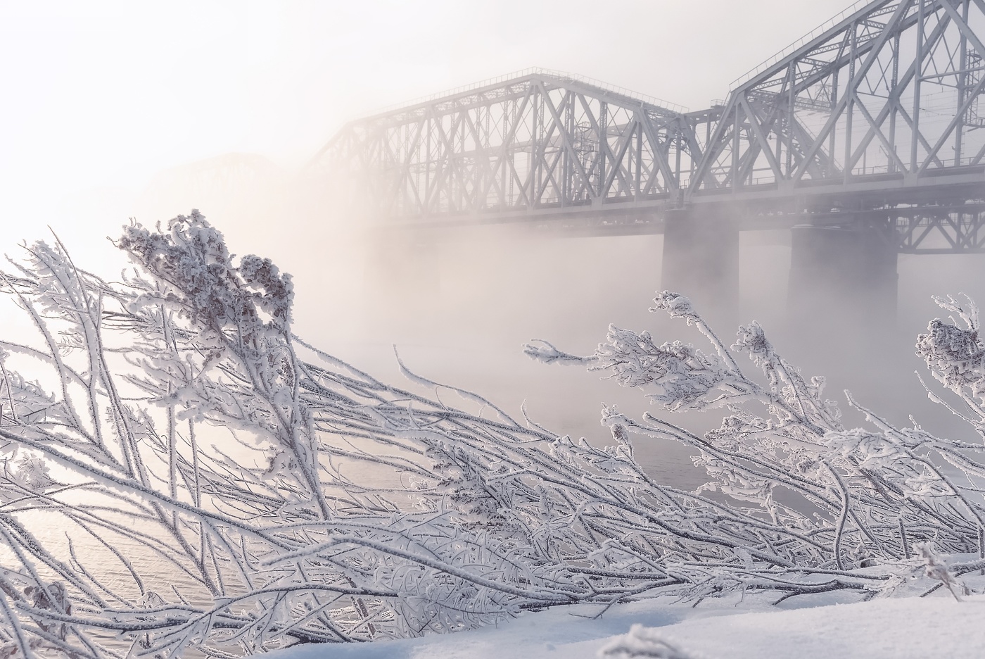 Железнодорожный мост в тумане