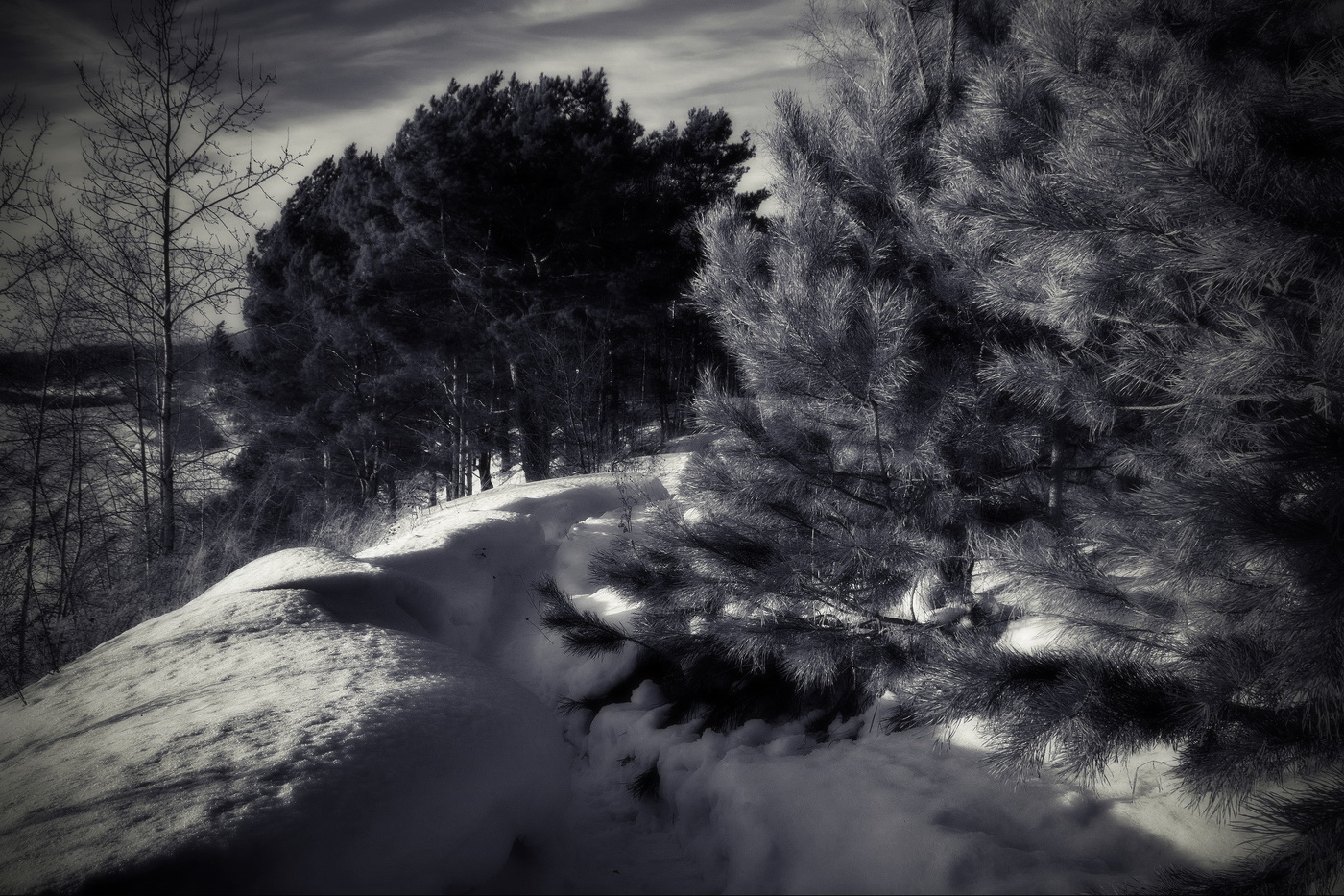 *Тропинка.**